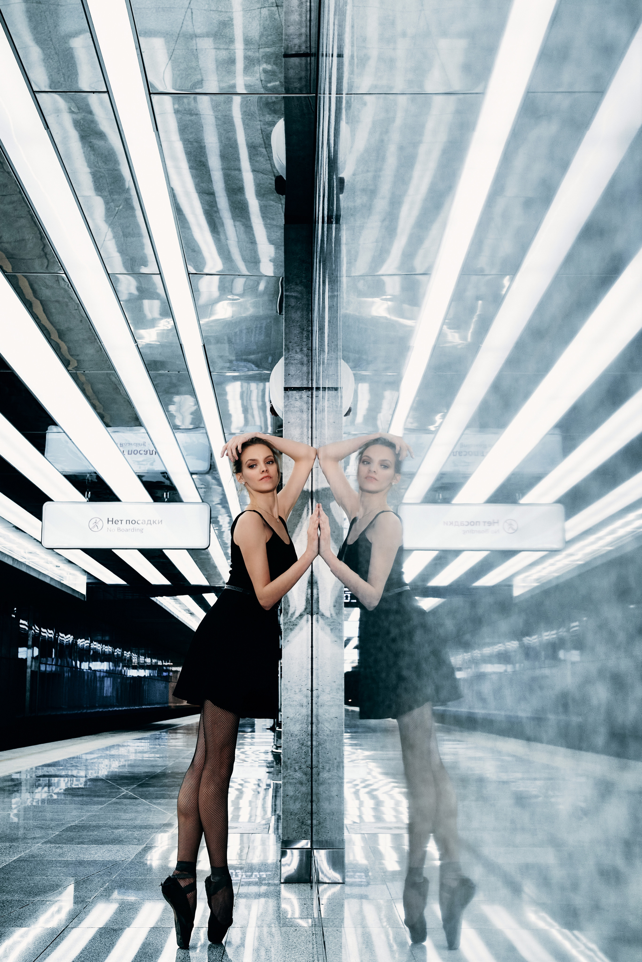 Черный лебедь. Zubkov Jan Hochzeitsfotograf Deutschland