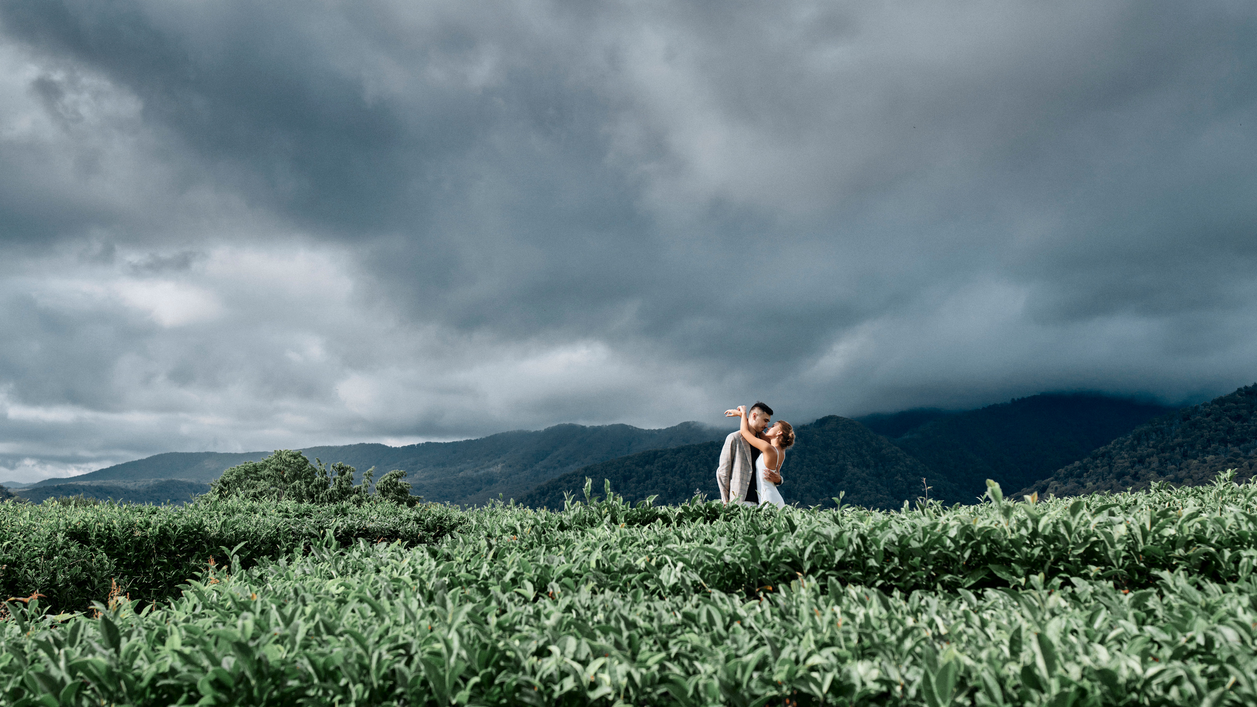 Matsesta. 2021. Главная