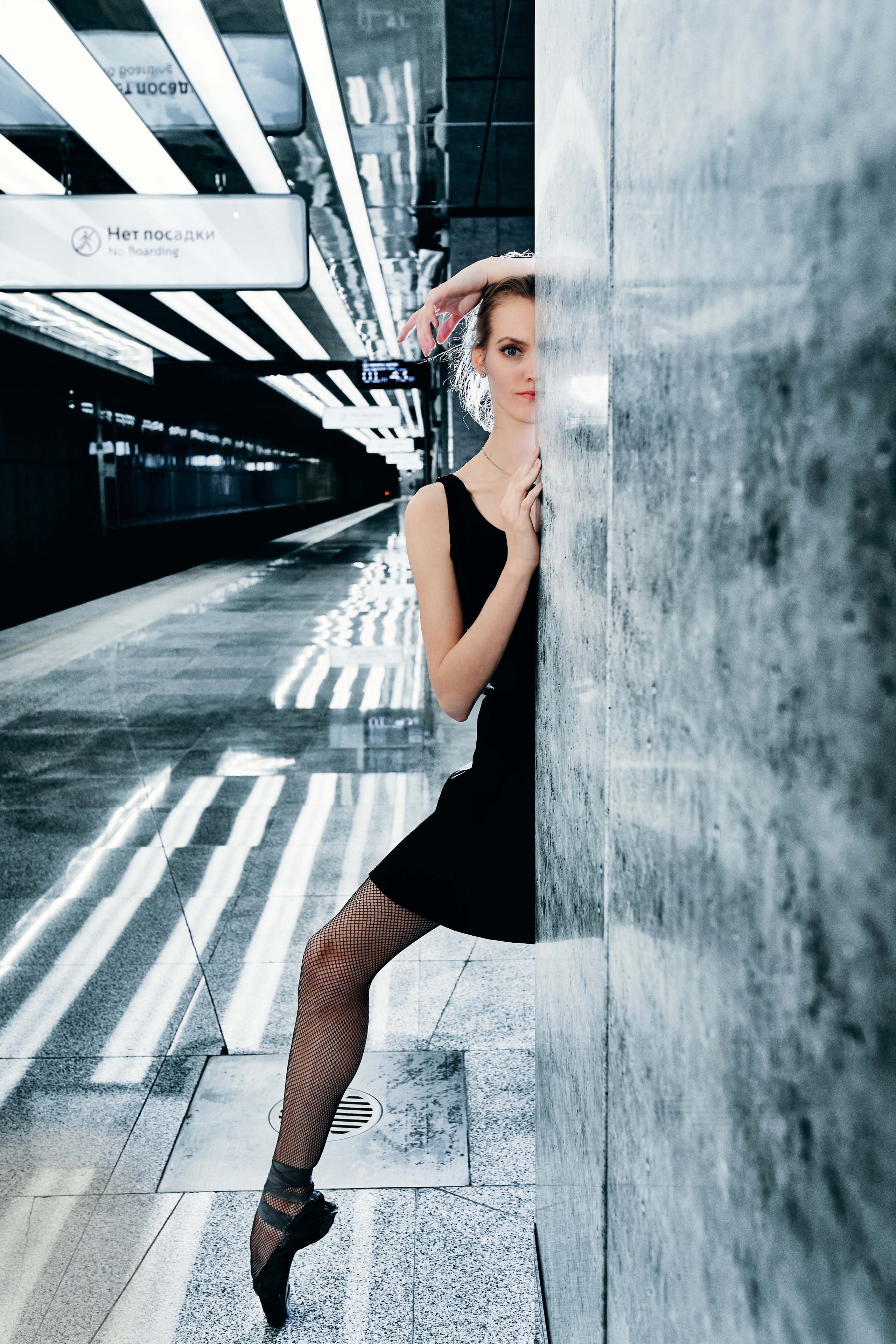 Черный лебедь. Zubkov Jan Hochzeitsfotograf Deutschland