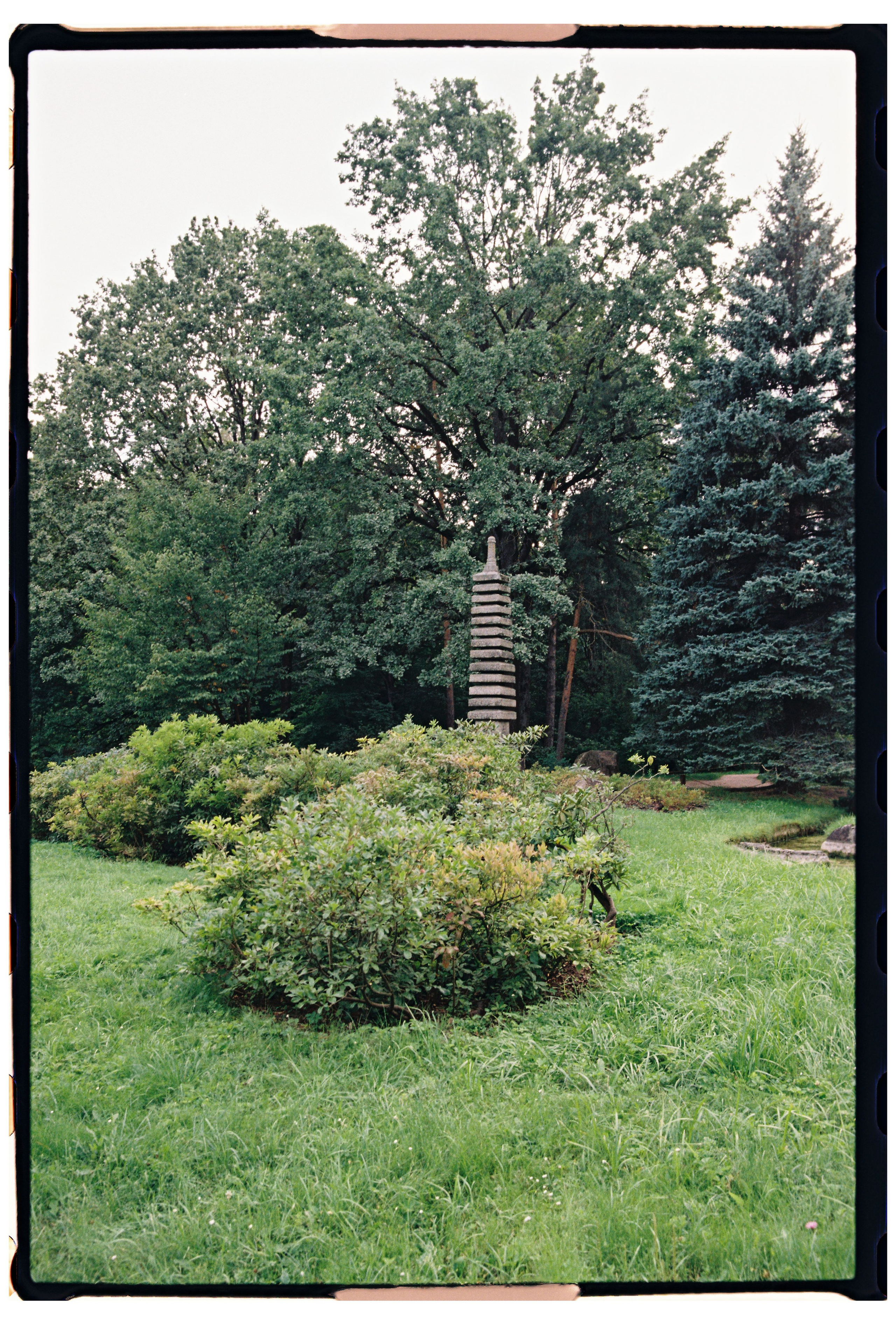 Модель Ася, пленка. Фотограф в Москве. Екатерина Митина