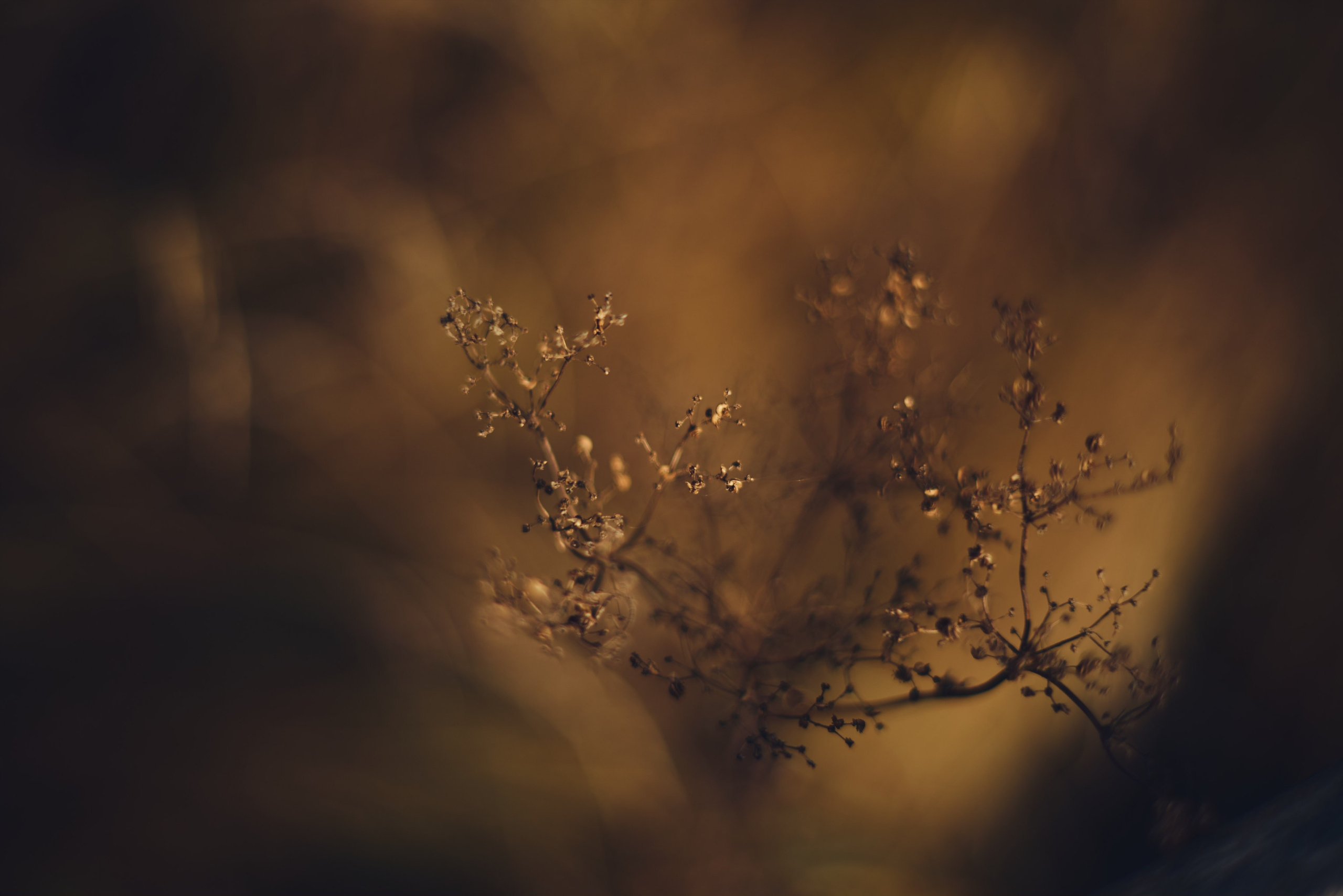 Осенние пейзажи Никола-Ленивца