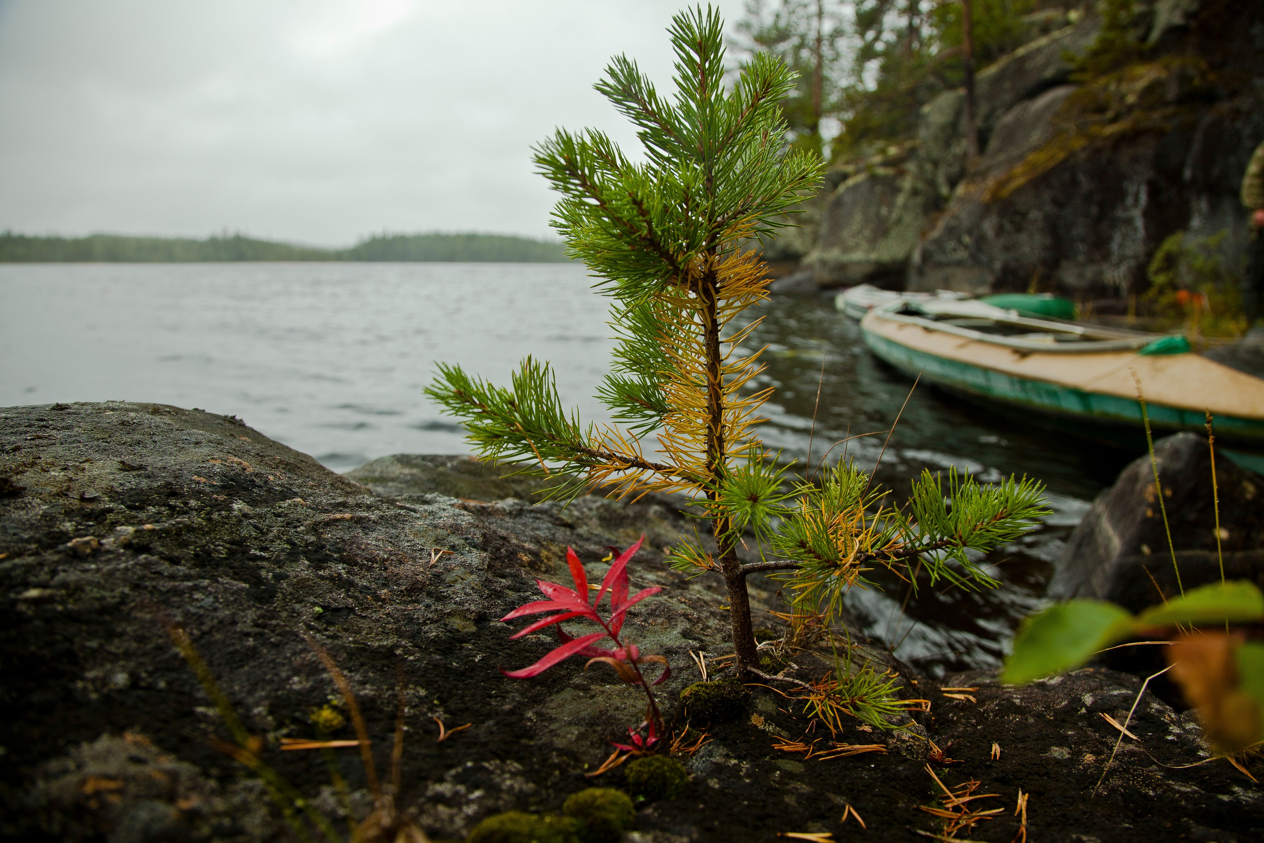 Видеосъемка
