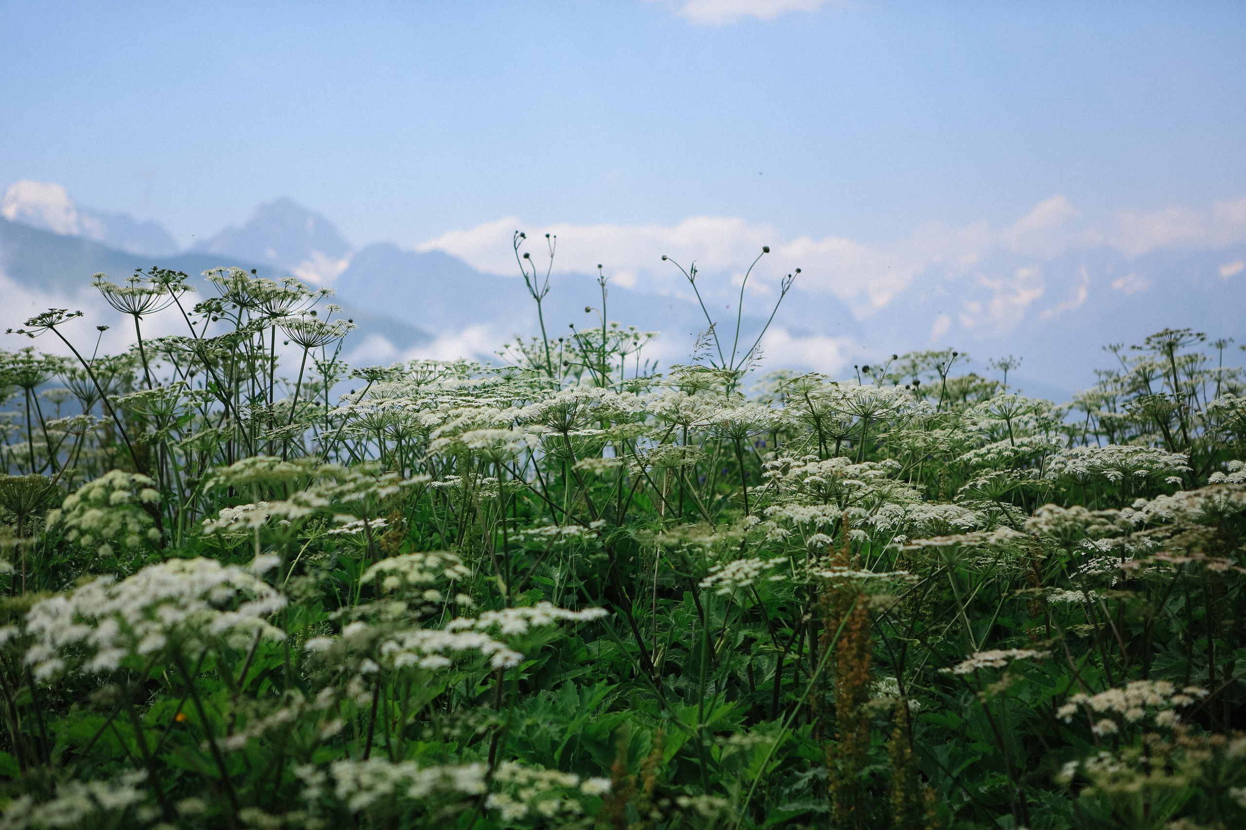 Пресс-тур для Неизвестного Кавказа. Свадебный и портретный фотограф в Пятигорске, КМВ — Власова Юля