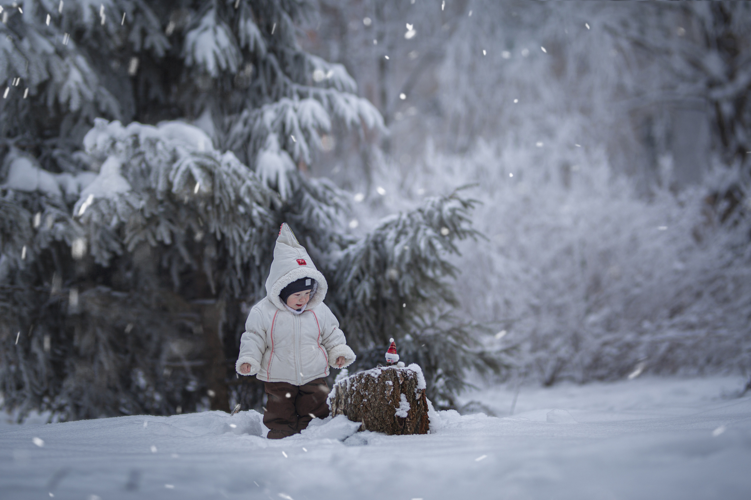 Уличная съемка. Семейный и детский фотограф в Ярославле Наталия Тачкова