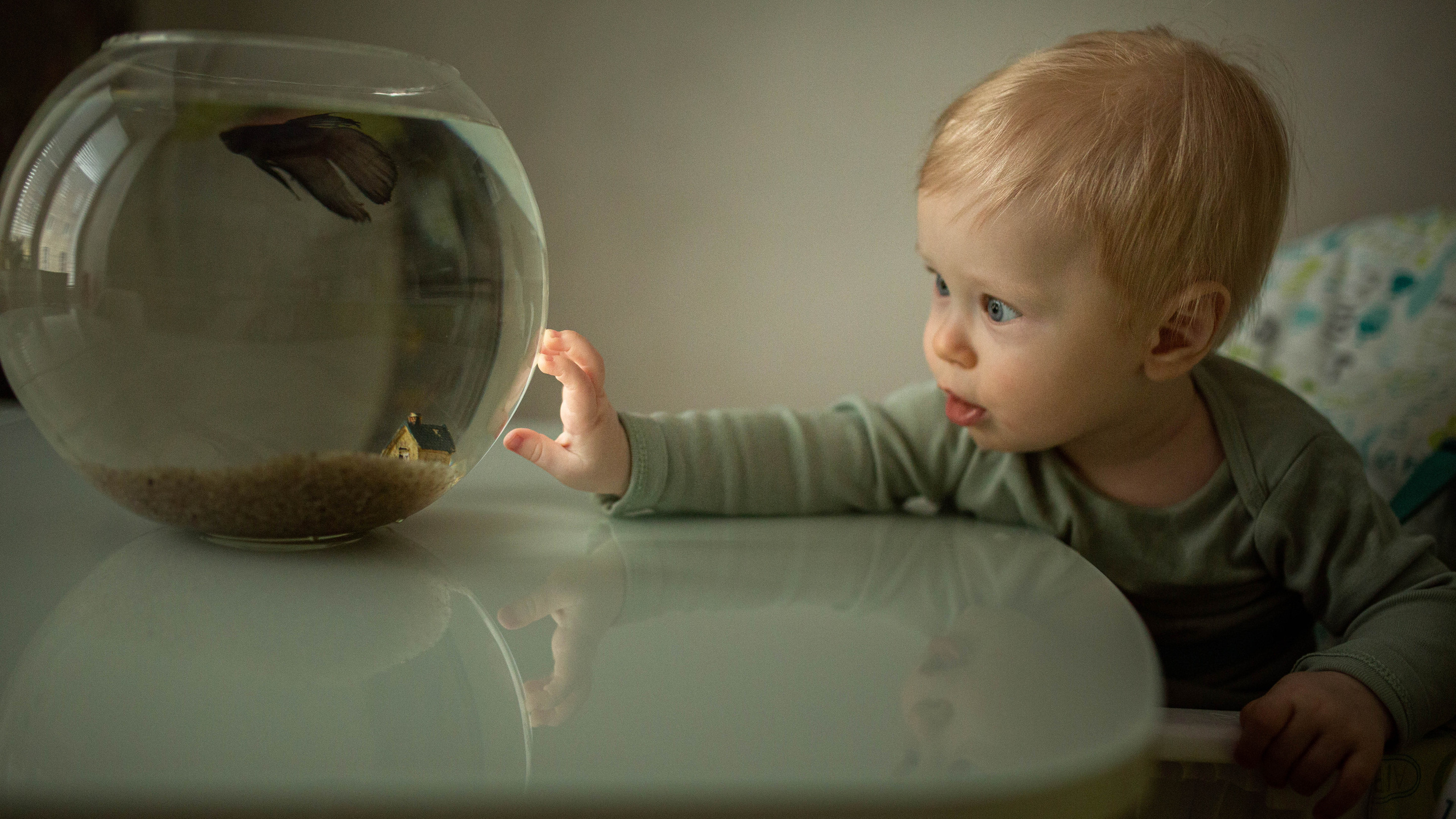Домашняя съемка. Семейный и детский фотограф в Ярославле Наталия Тачкова