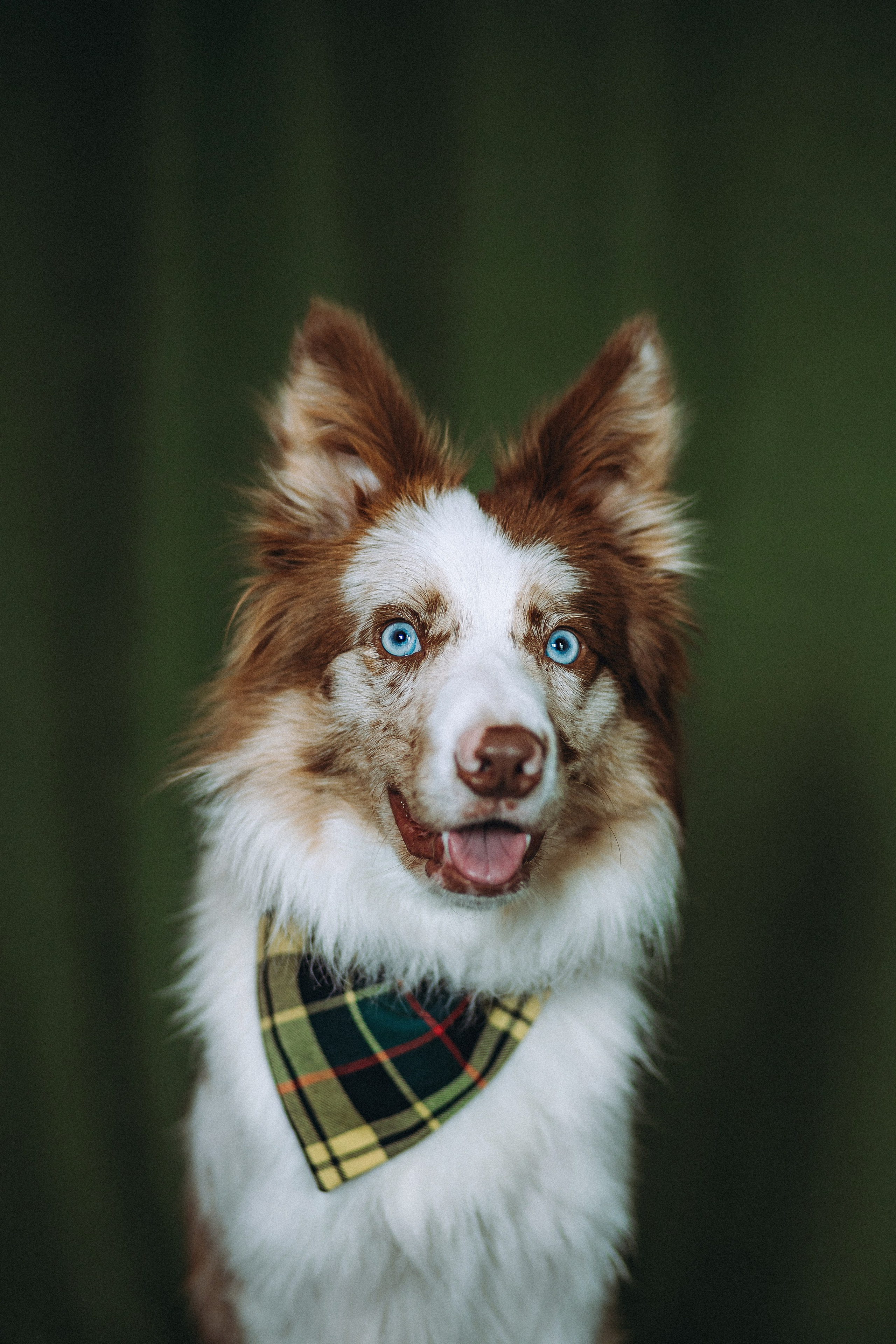 День рождения Айко