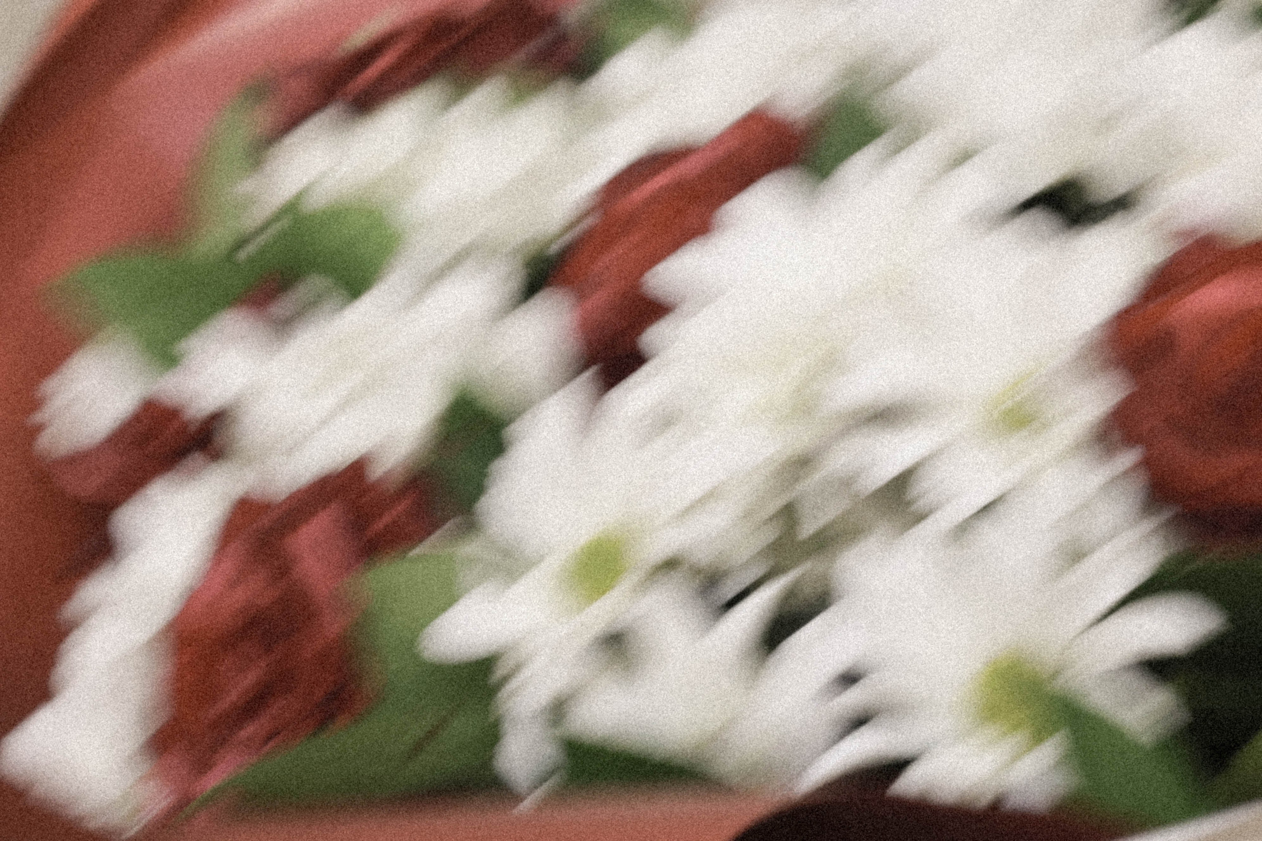 Никах Камиля и Надир. Свадебный, репортажный, фотограф Москва и Московская область