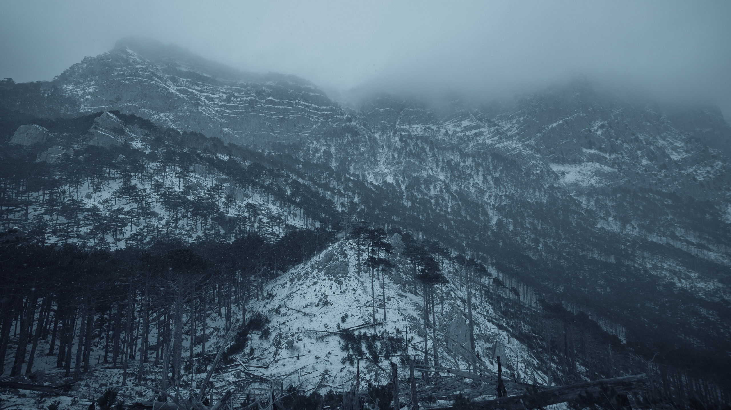 Nature. Артем Корнев Фотограф