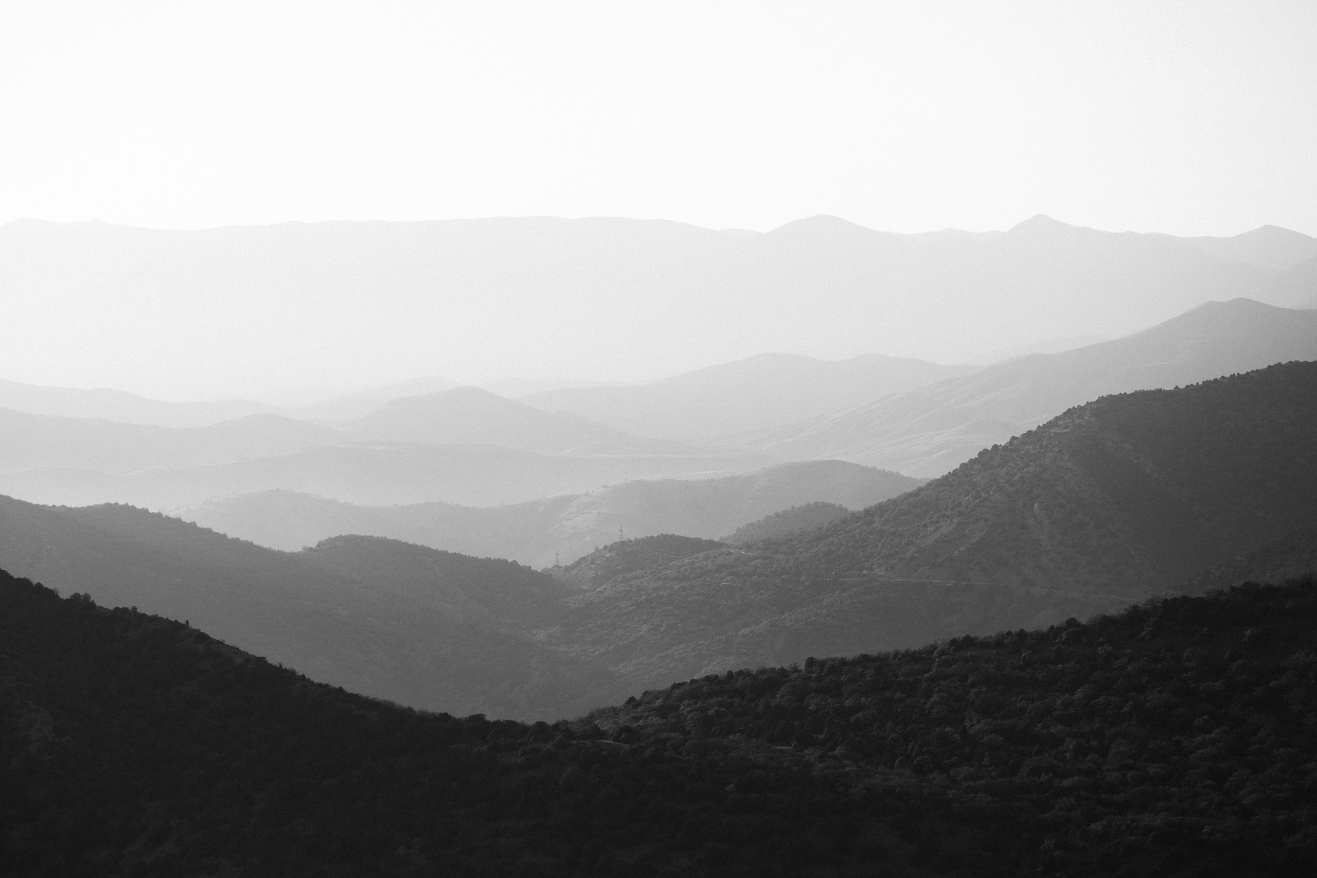 Nature. Артем Корнев Фотограф