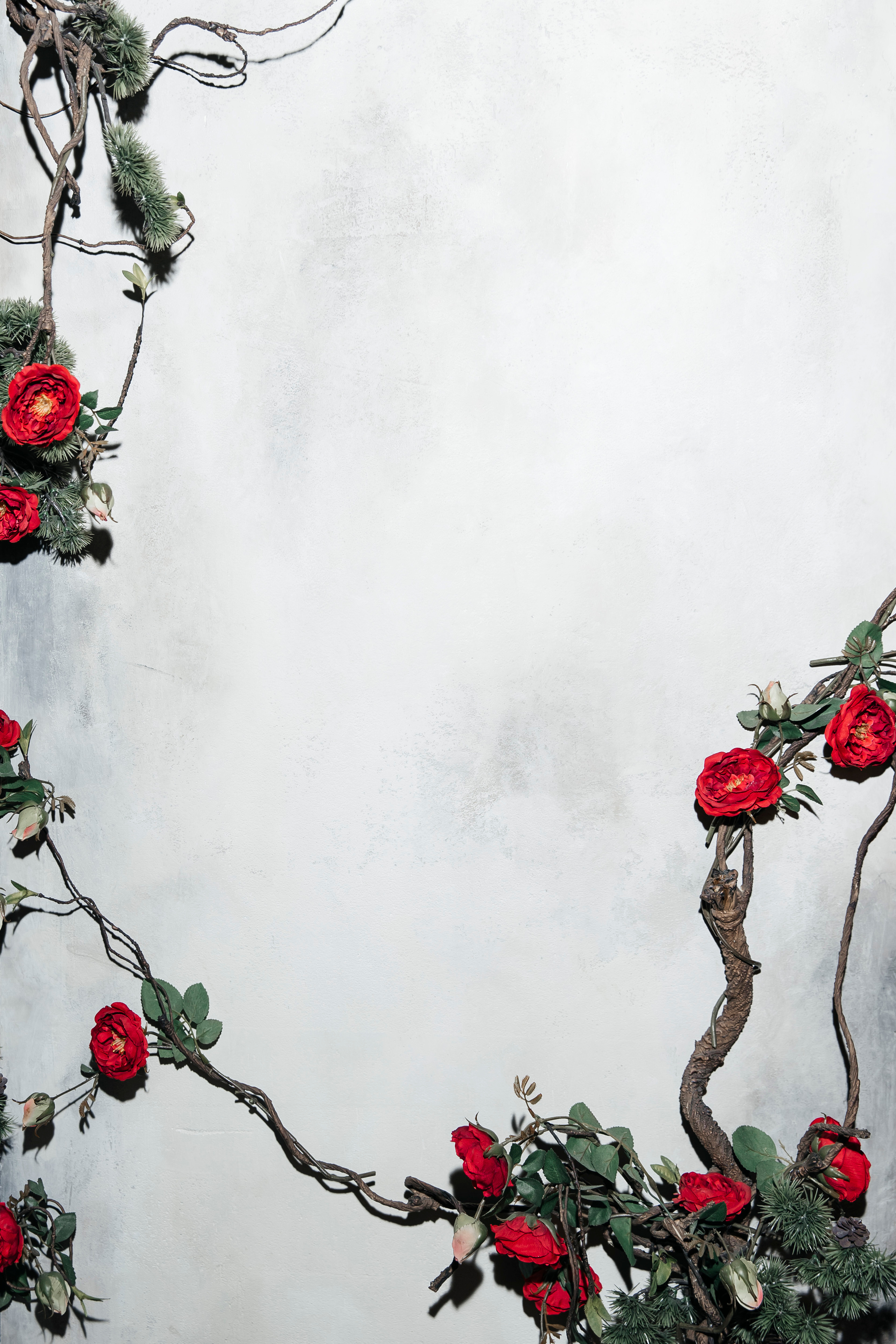 Autumn of the Wich by Alena Vodonaeva. «Птичка на проводе»: информационный портал в Москве