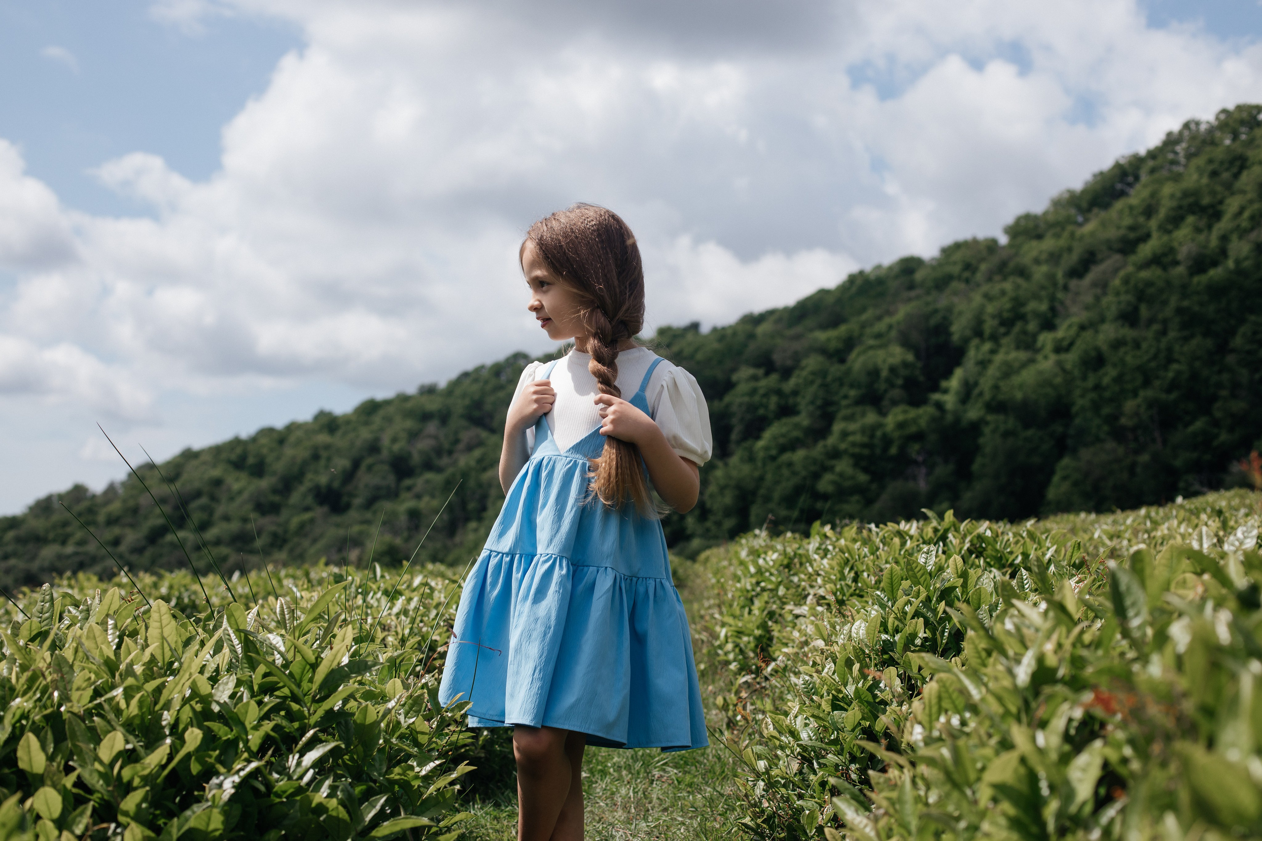 Tea plantation. Efimova Model Agency