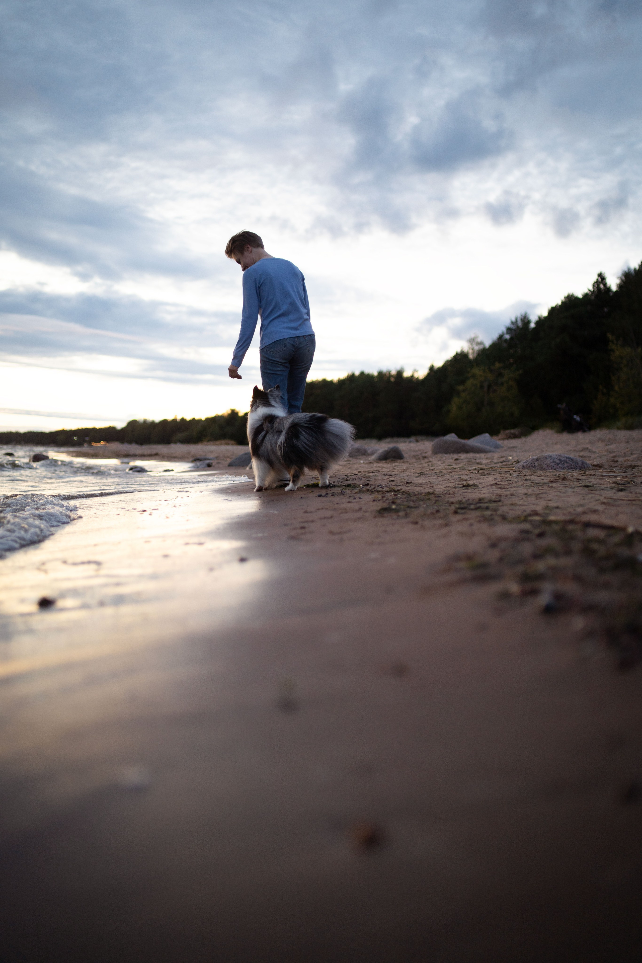 Лесная Элис. Фотограф анималист