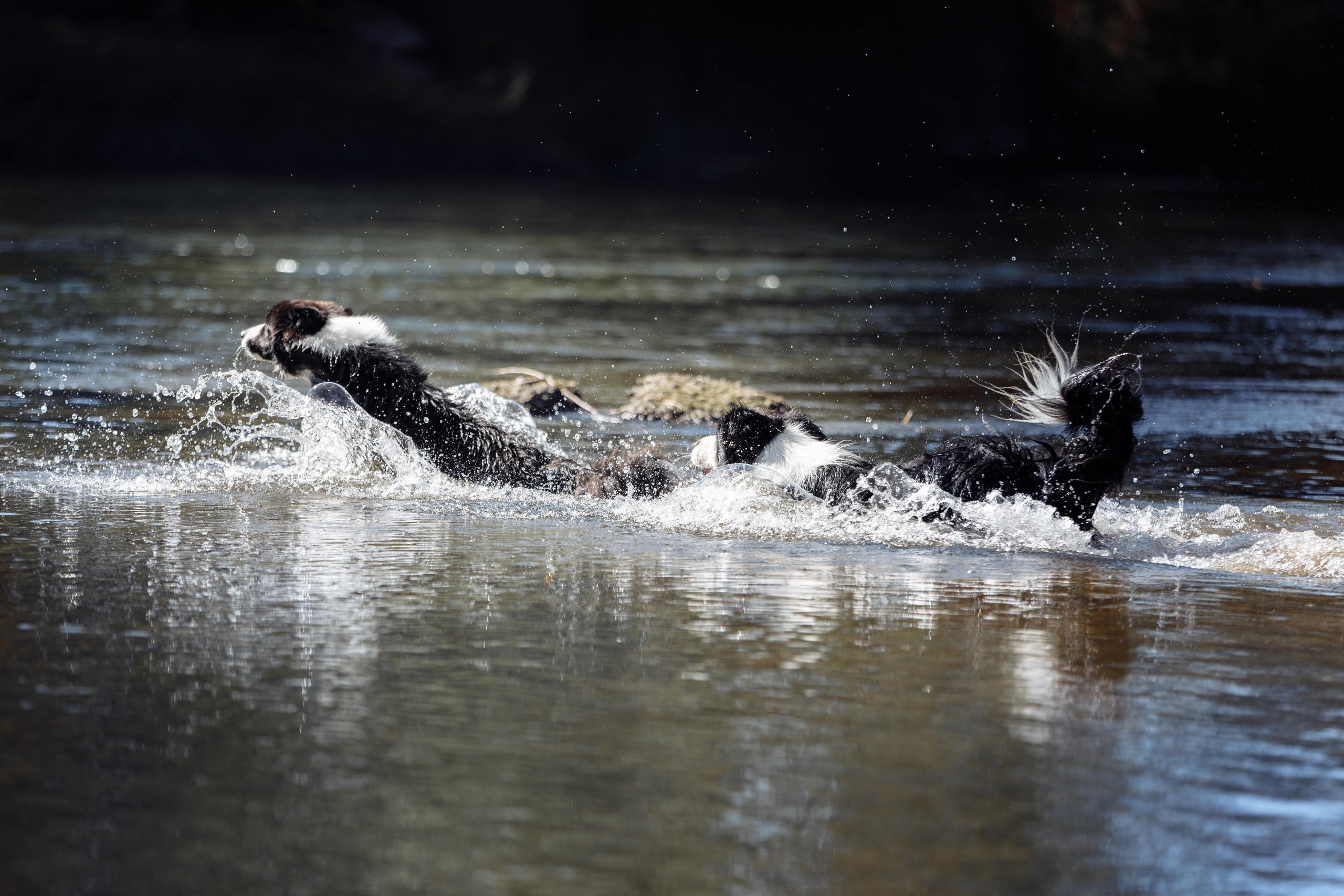 Водяные в Новотроицке. О нас