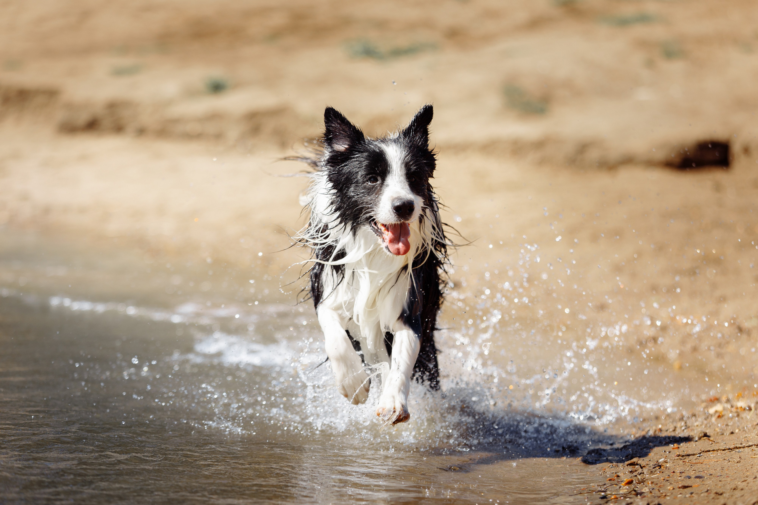 Водяные в Новотроицке. О нас