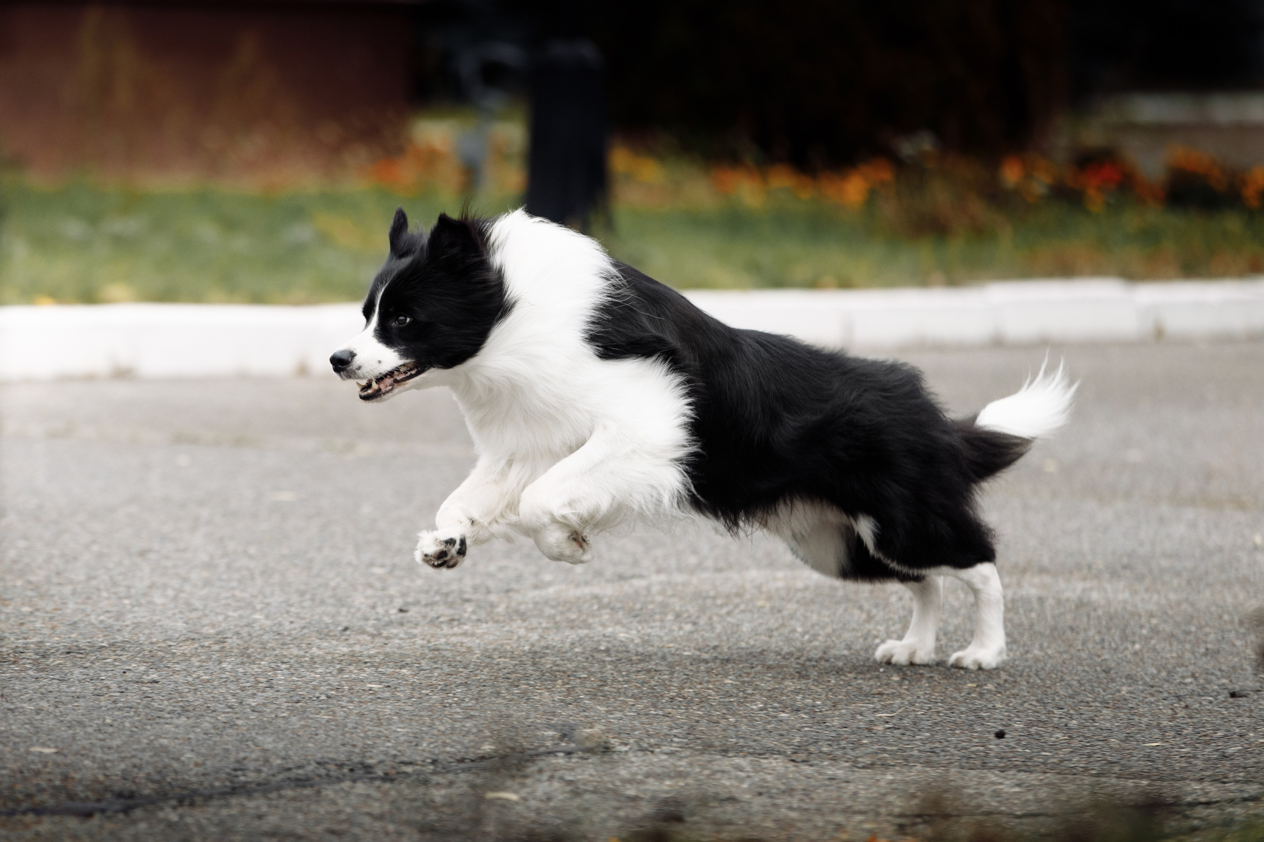 Казань. О нас