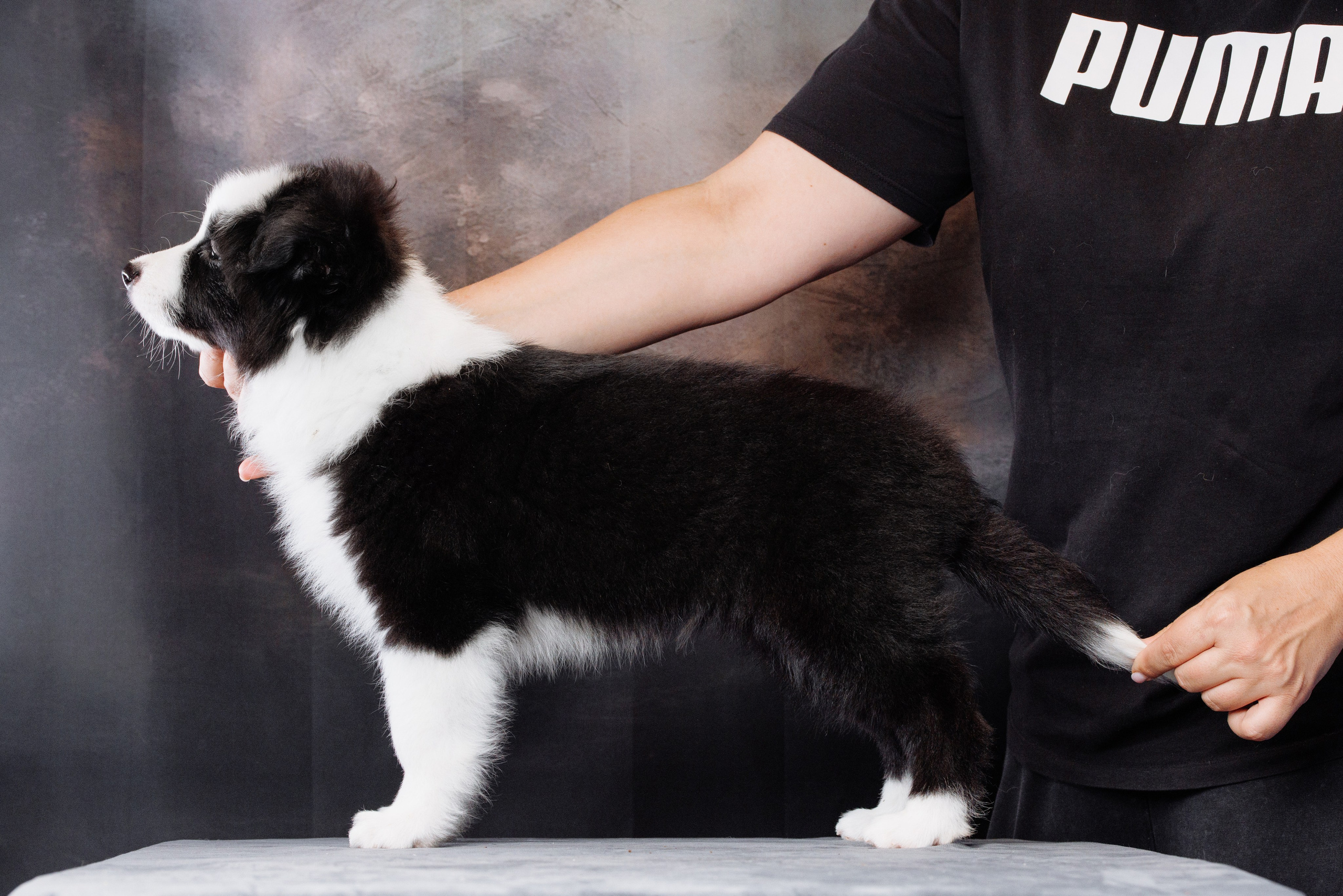 Помет б. О нас