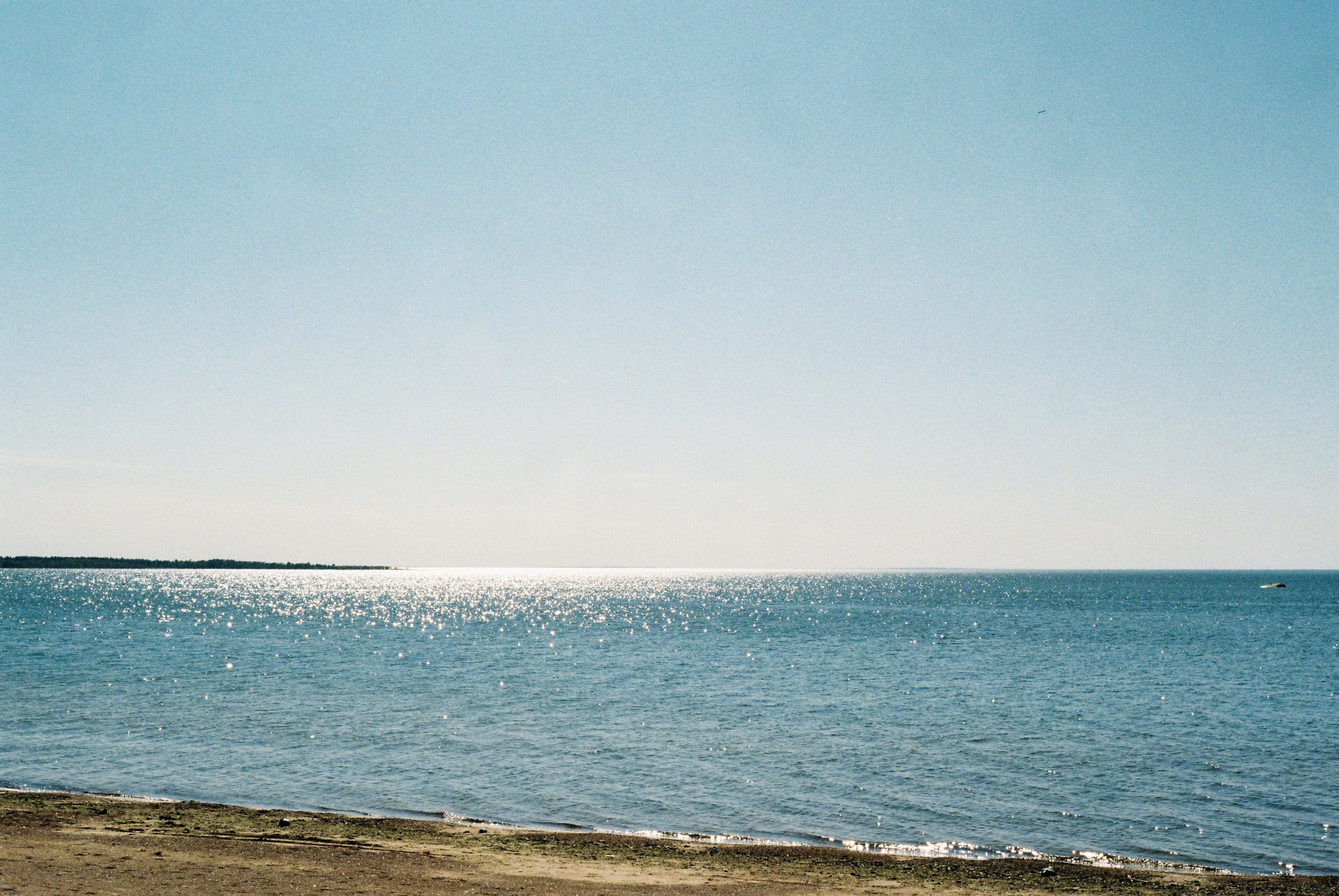 Film. Ruslan UI Dev Page