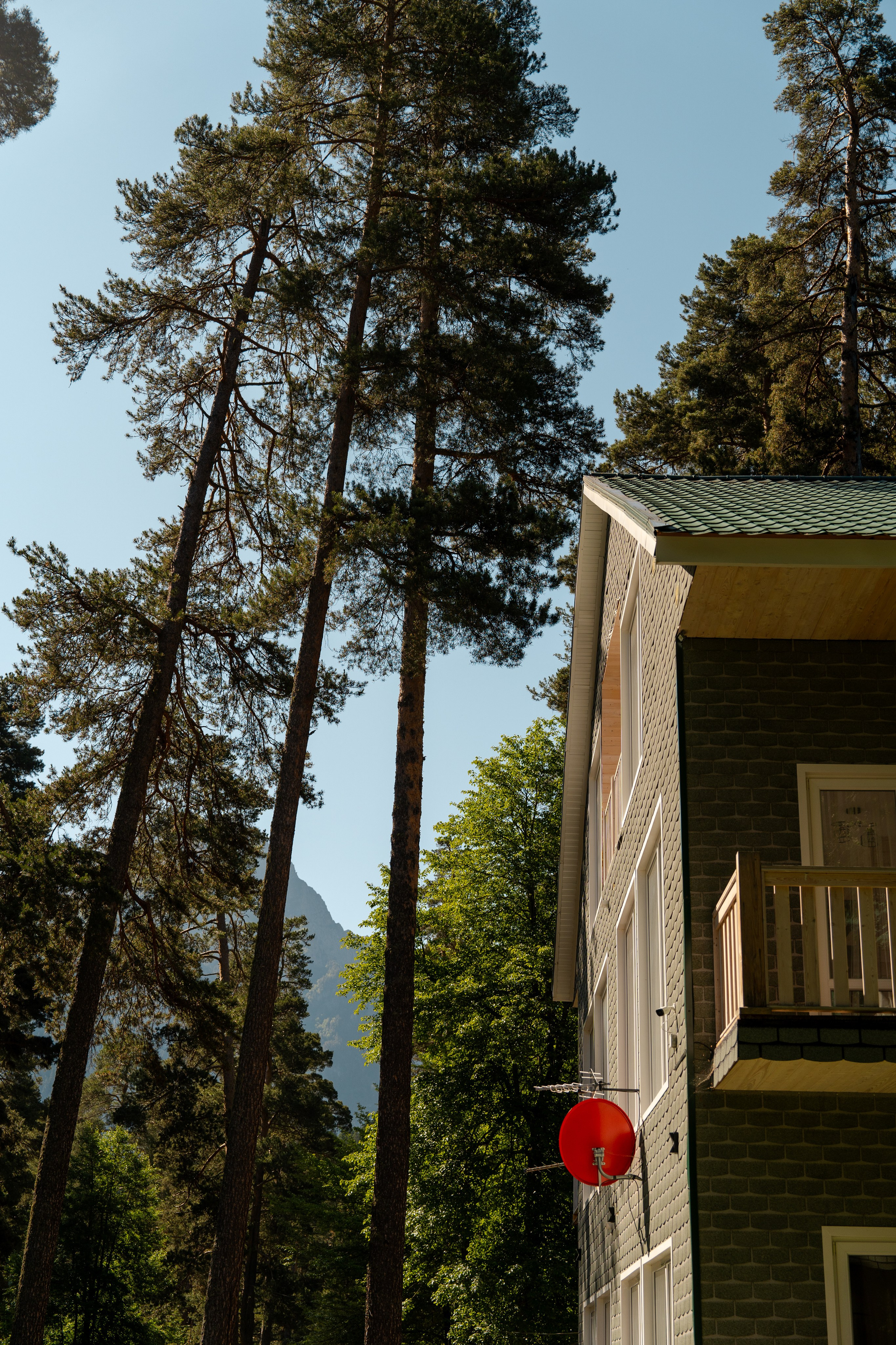Green Park. Фотограф и видеограф Елена Хмелевская