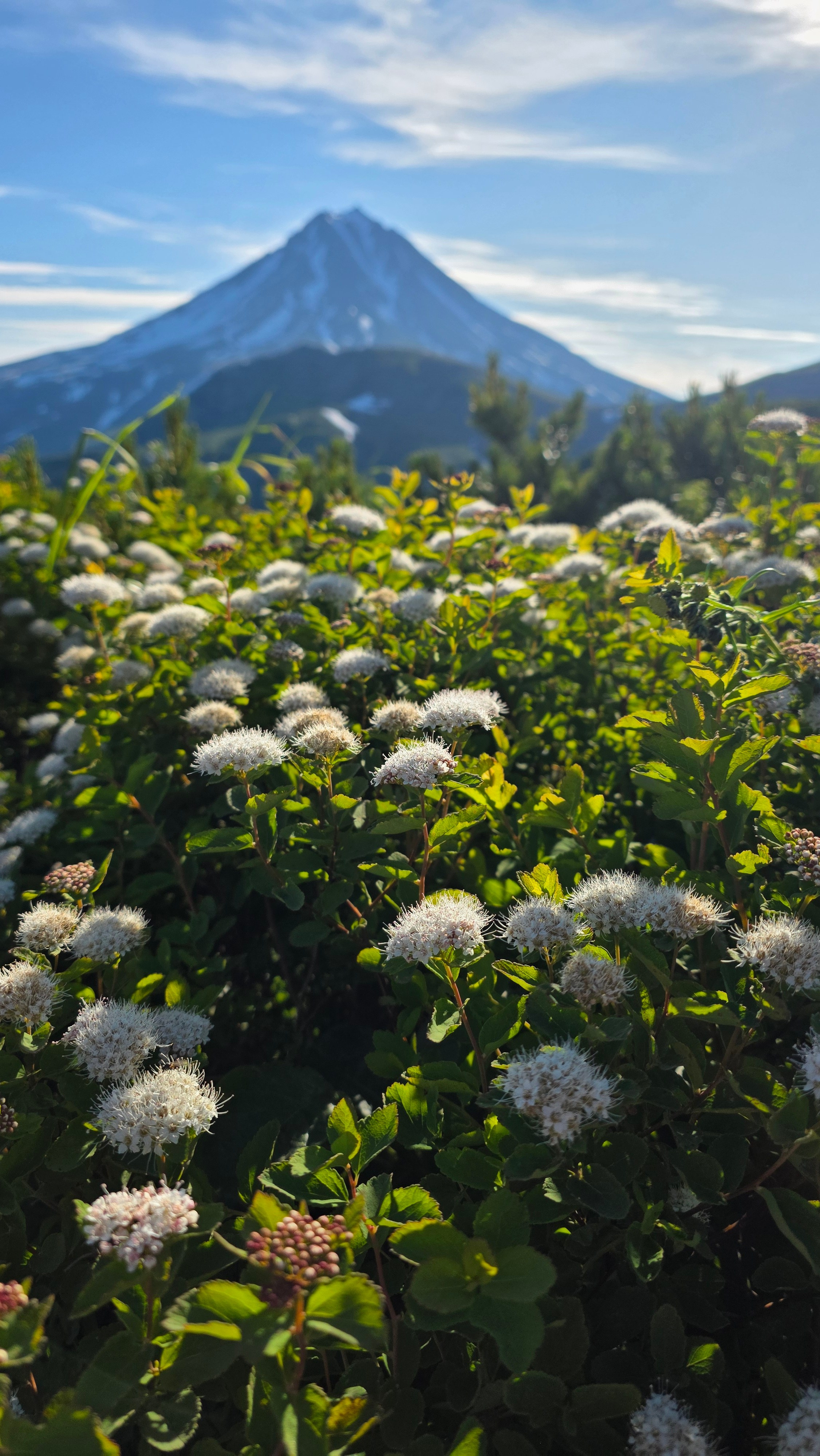 Подробнее о каждой экскурсии. Экскурсионные туры по Камчатке