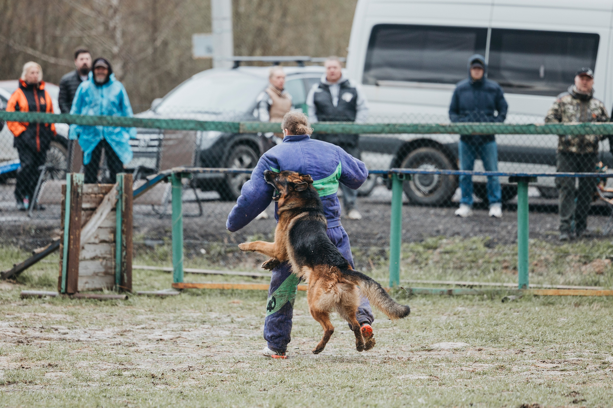 09.05.25 Вологда соревнования. Фотограф-анималист Анна Маринич