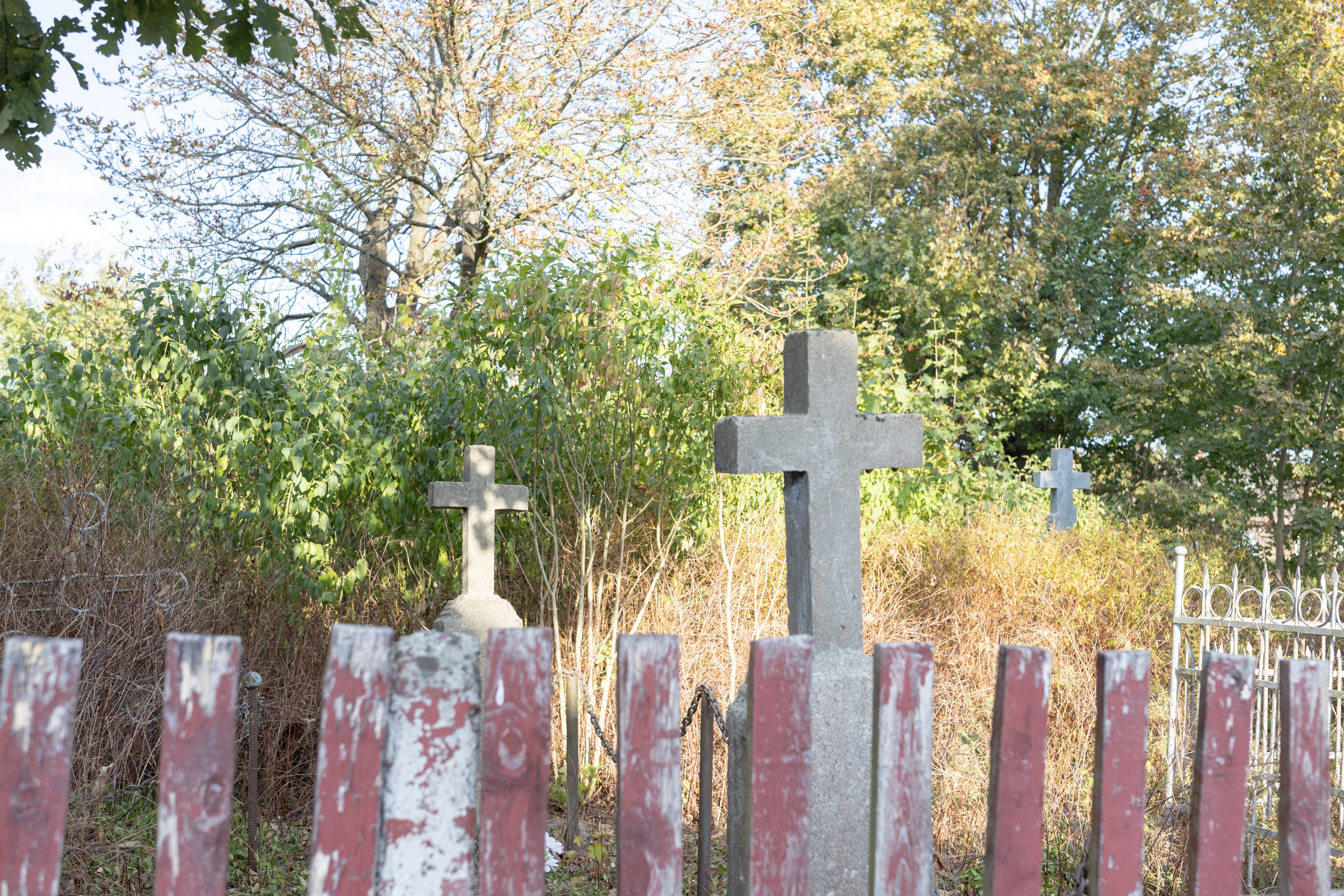 Около меня. Documentary photographer Anton Zdanovich