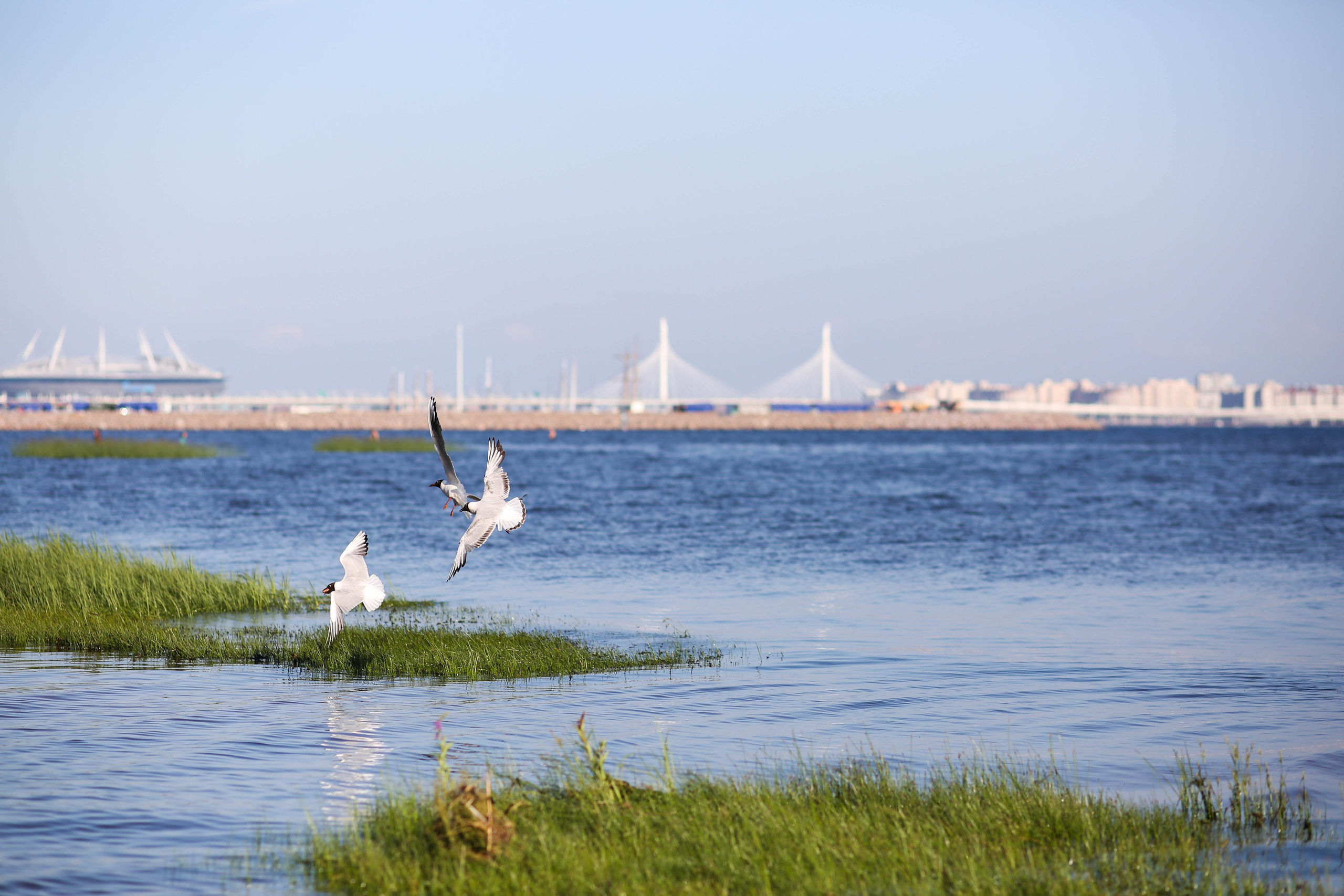 Санкт — Петербург. Фотограф в г. Сургуте Марина Киприна