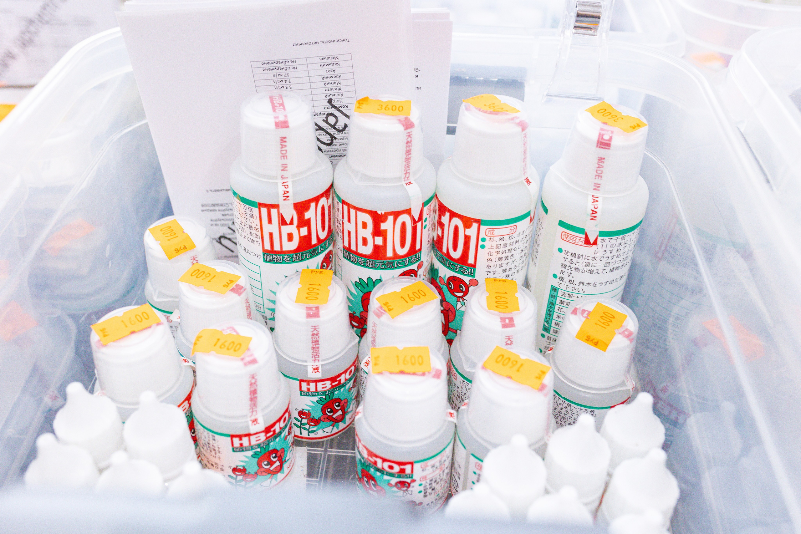 Монстериум 11–12 октября. Александра Куликова фотограф, Москва