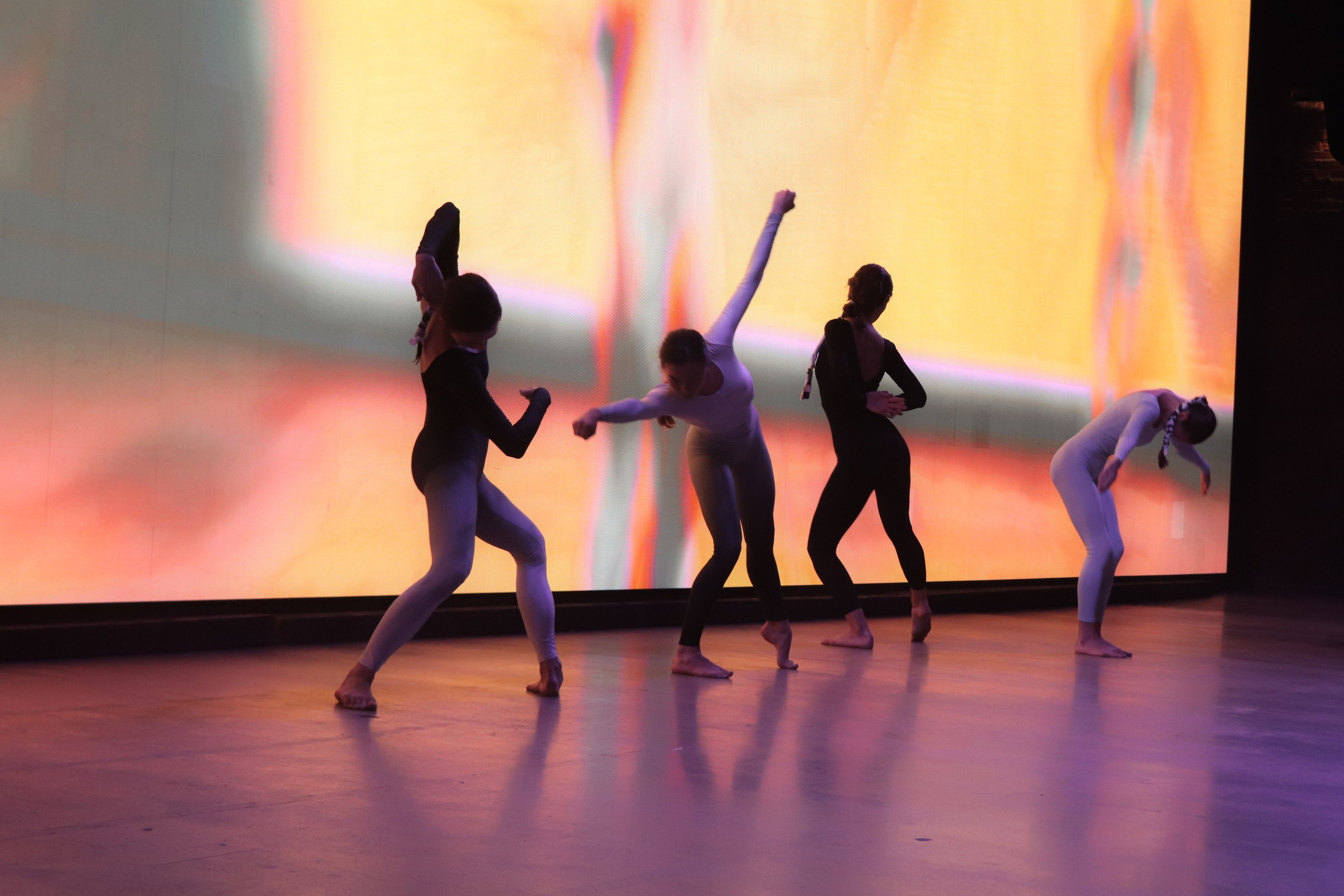 Dance performance. Janie valde |photographer & visual artist