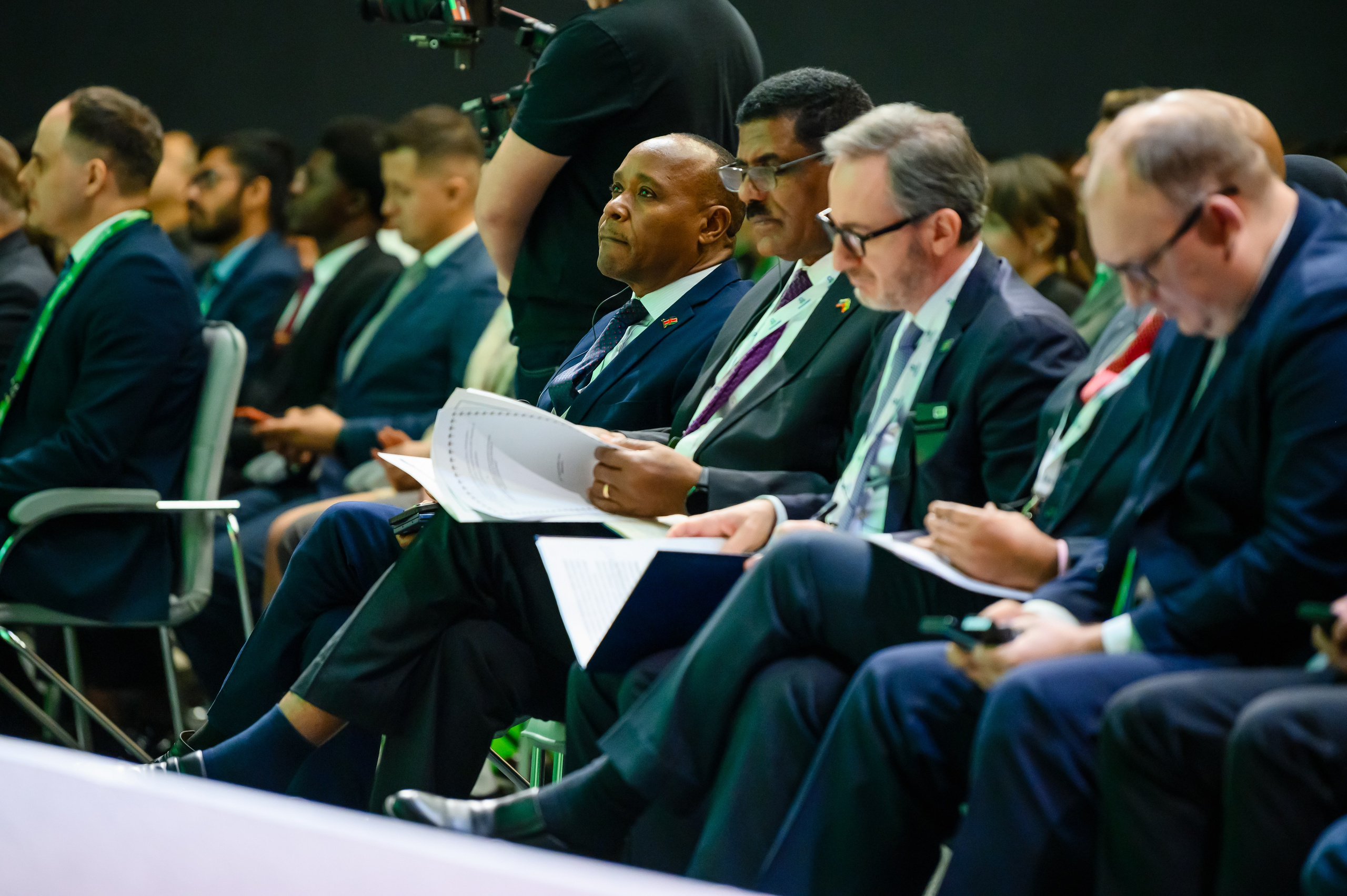 Проекты. Профессиональный фотограф Вячеслав Плацында | Липецк |