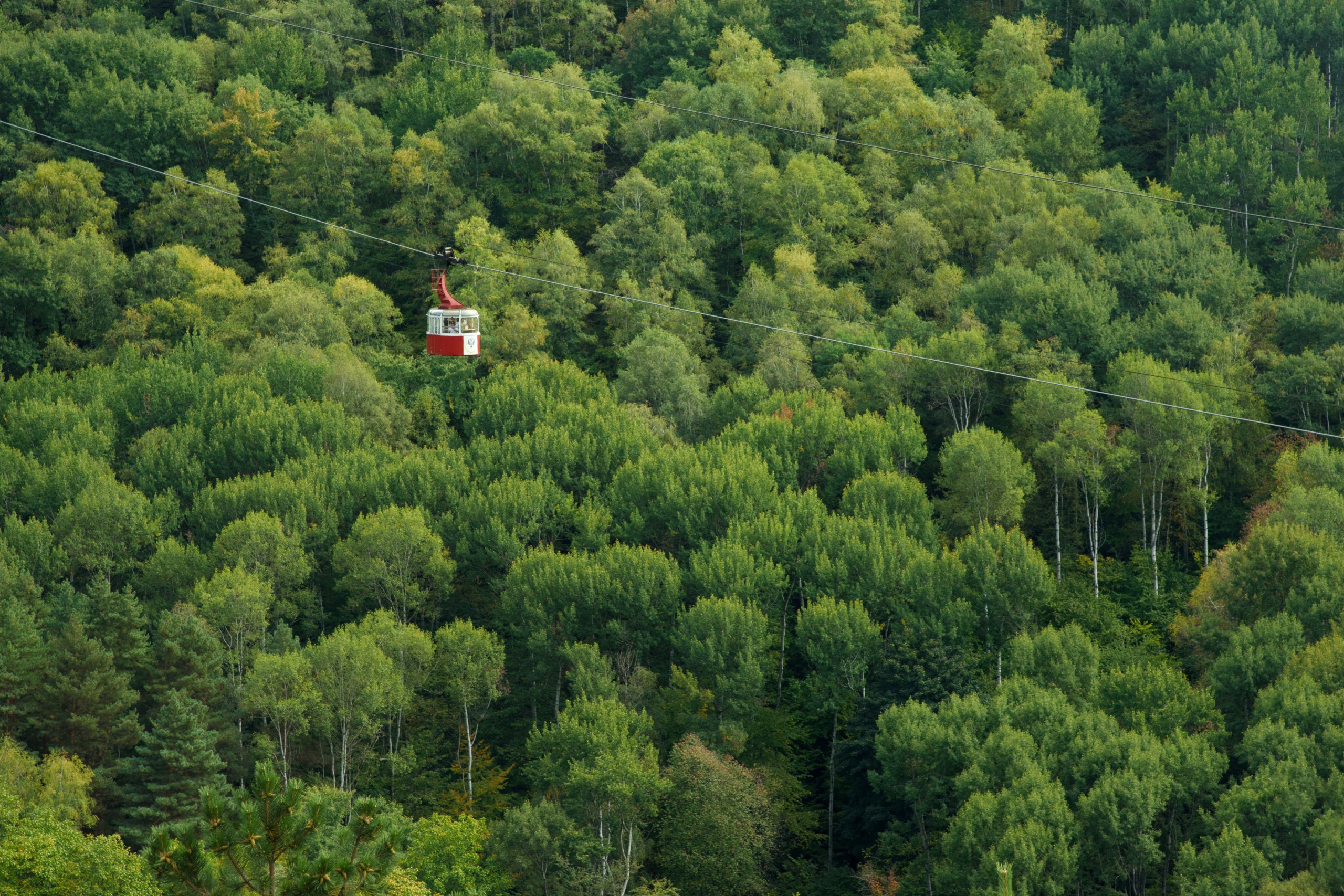 Вид на горы в Кисловодске
