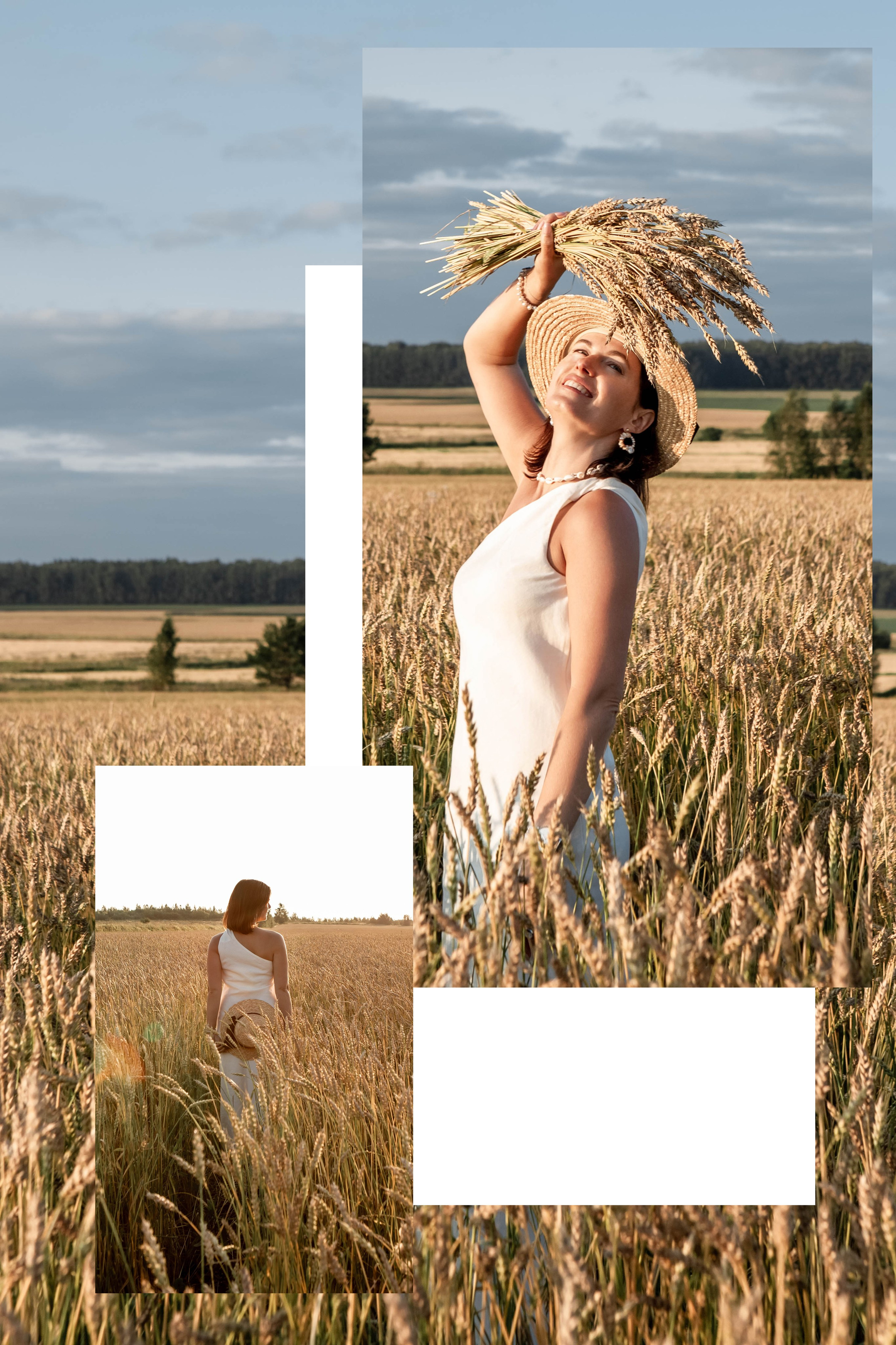 Пшеница на закате. Фотограф Екатерина Голицына