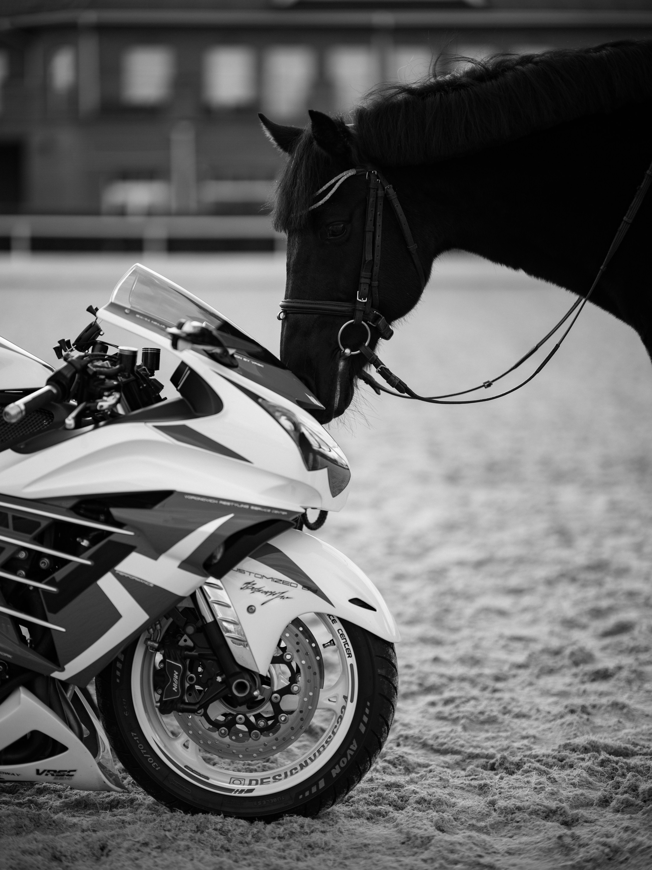 Уникальный экземпляр мотоцикла для для частной коллекции. Фотограф Олег Сотник