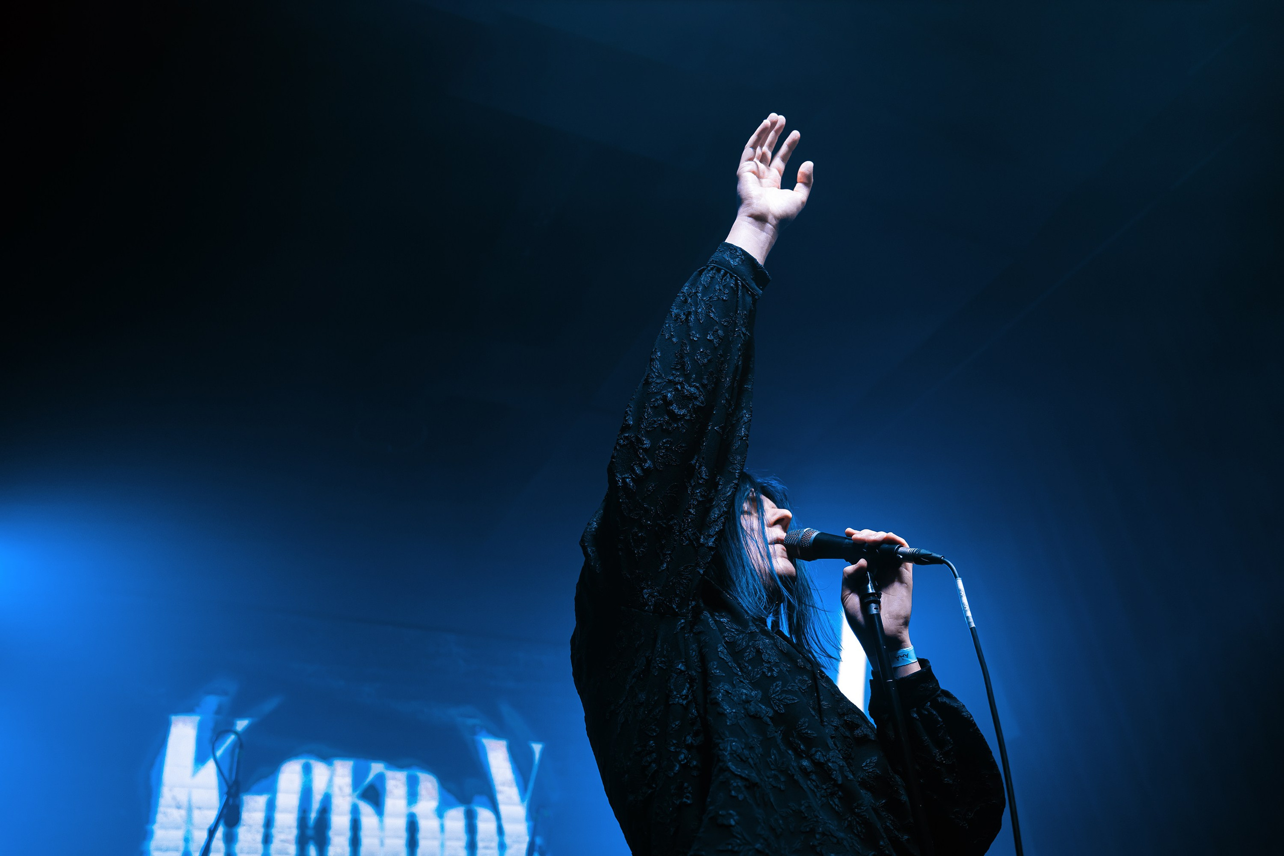 Концертный фотограф | Рукавцова Валентина