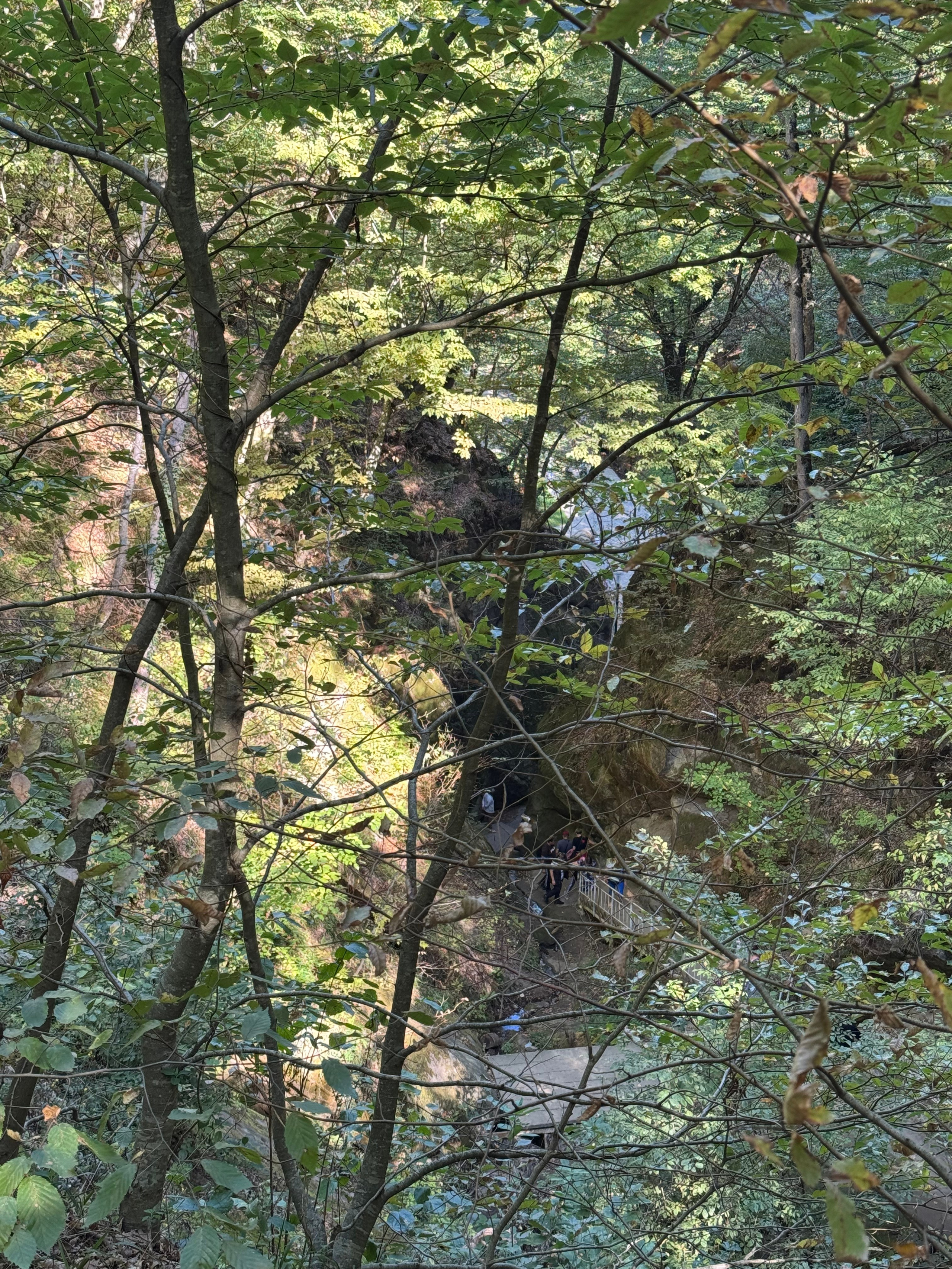 Горячий Ключ (2024-09-22). Собор Отрасли