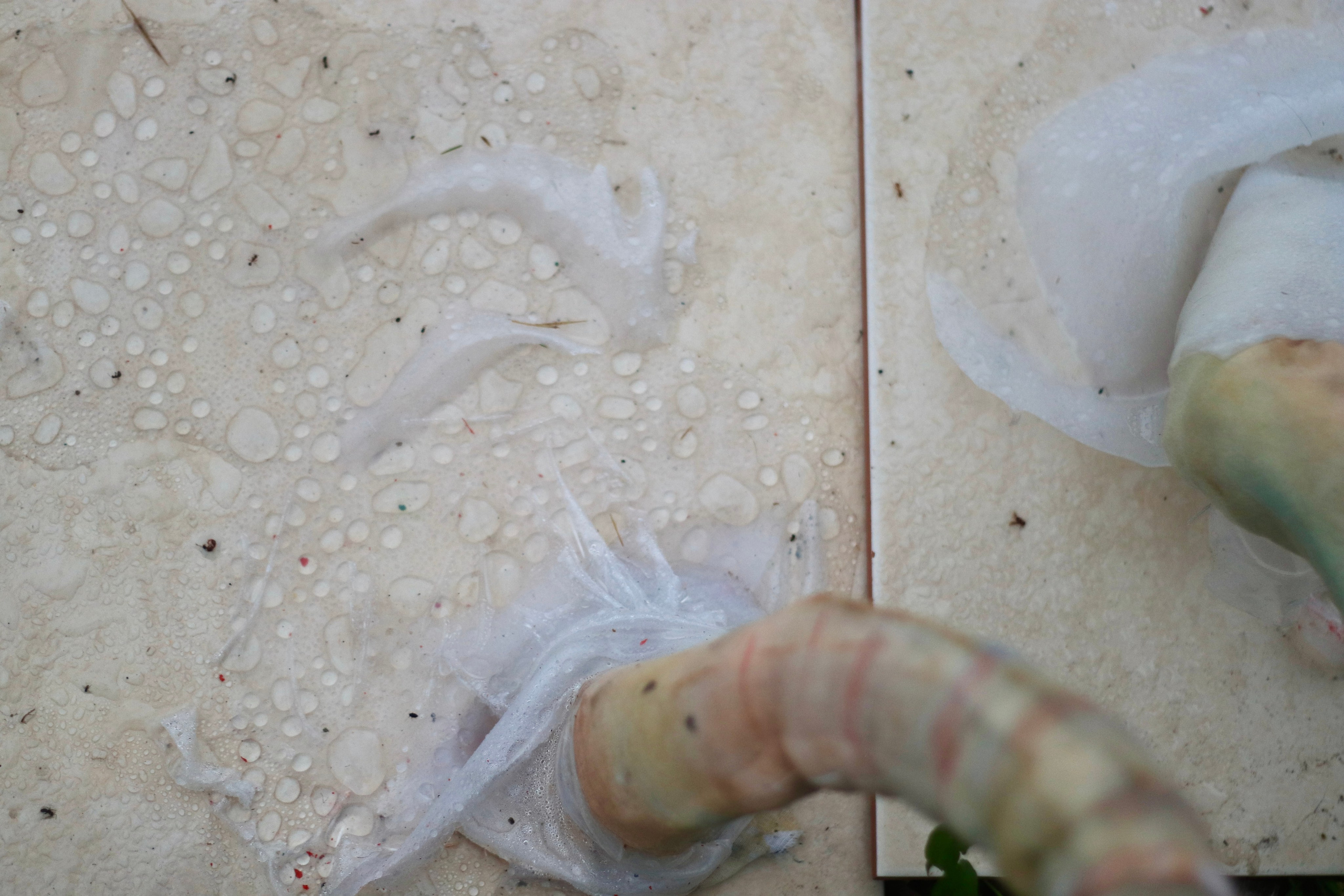 Эволюция непрерывно идет под знаком приспособления: инсталляция. Художница Софья Григорьева