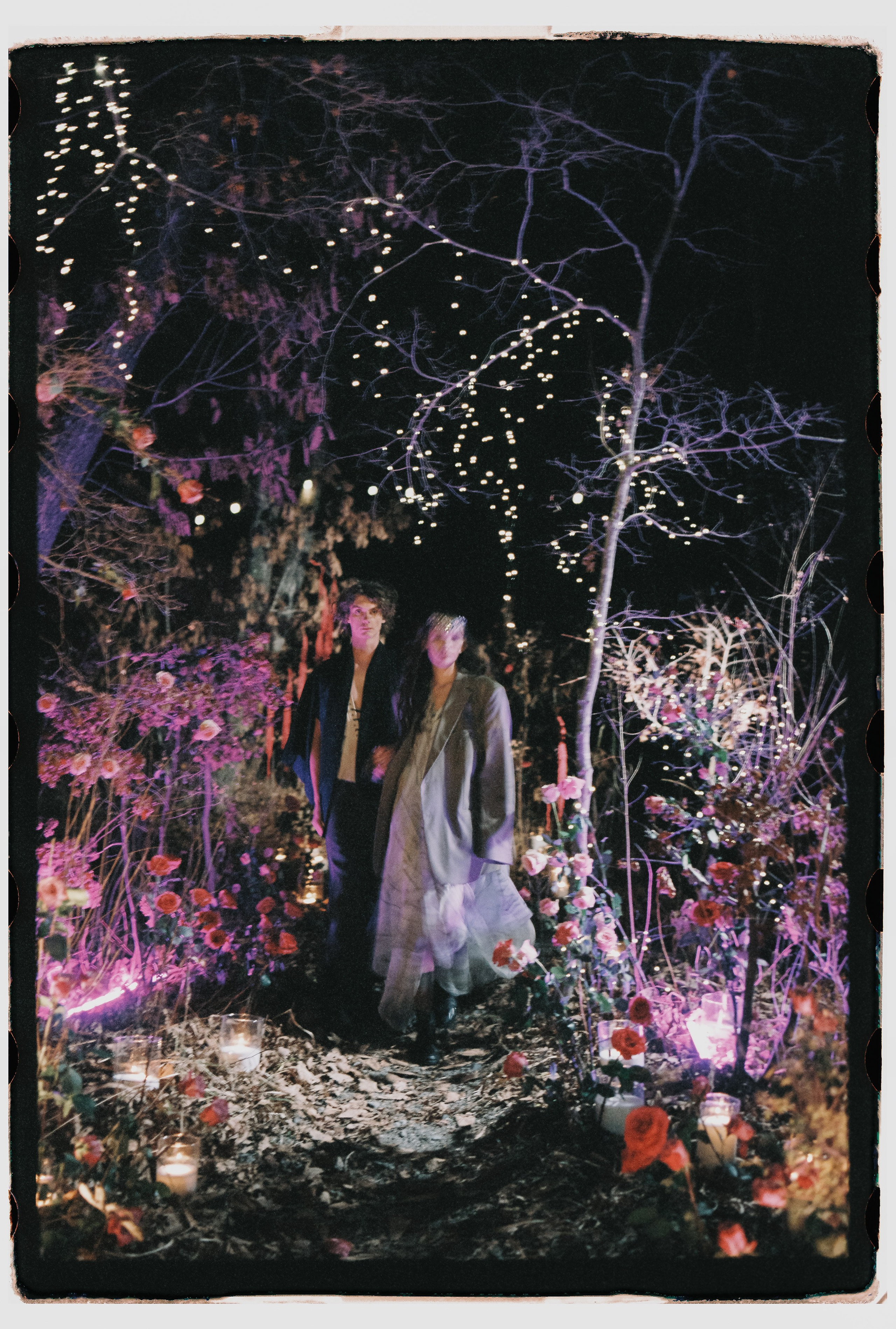 Лесной променад