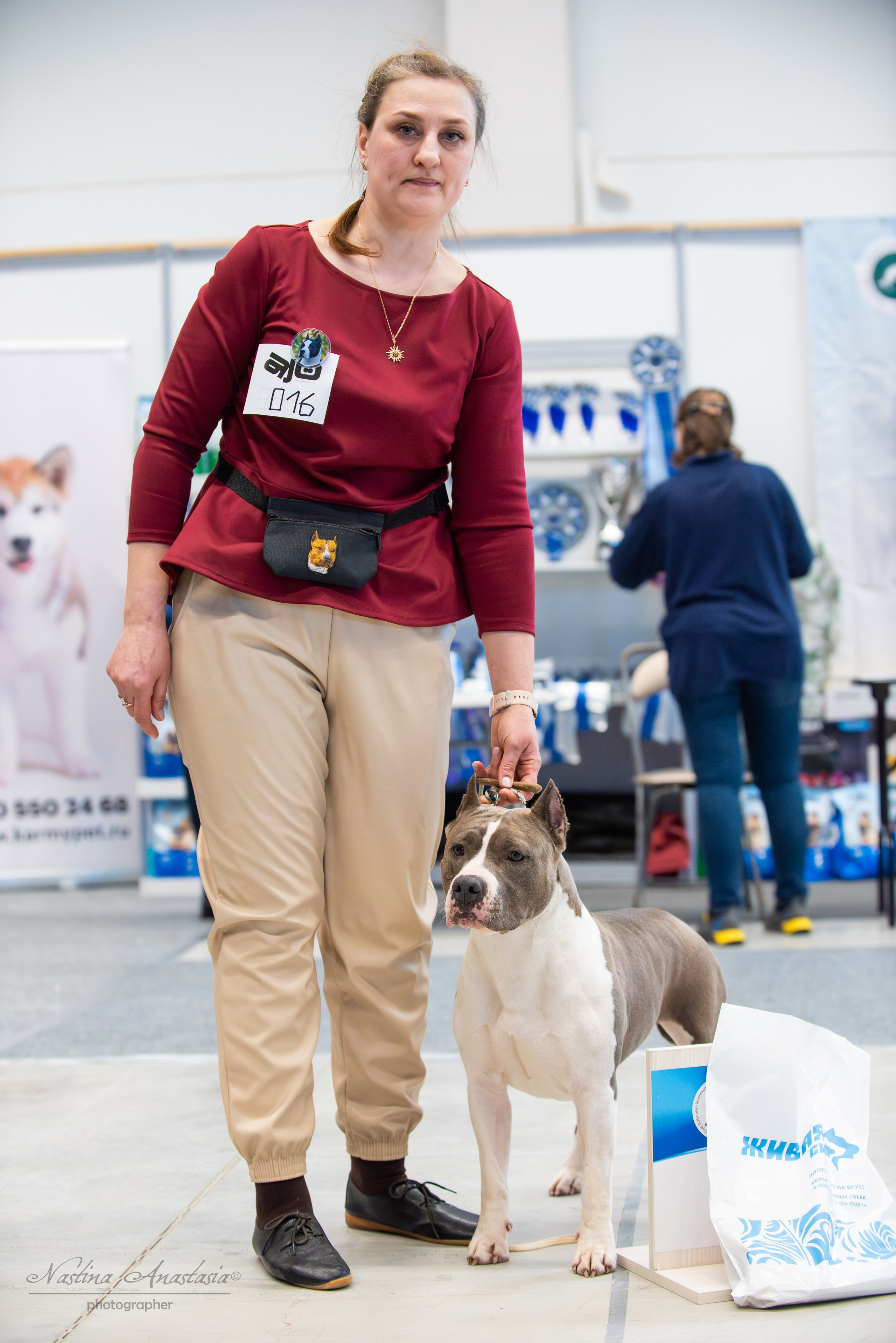 Выставки. Фотограф — Анималист