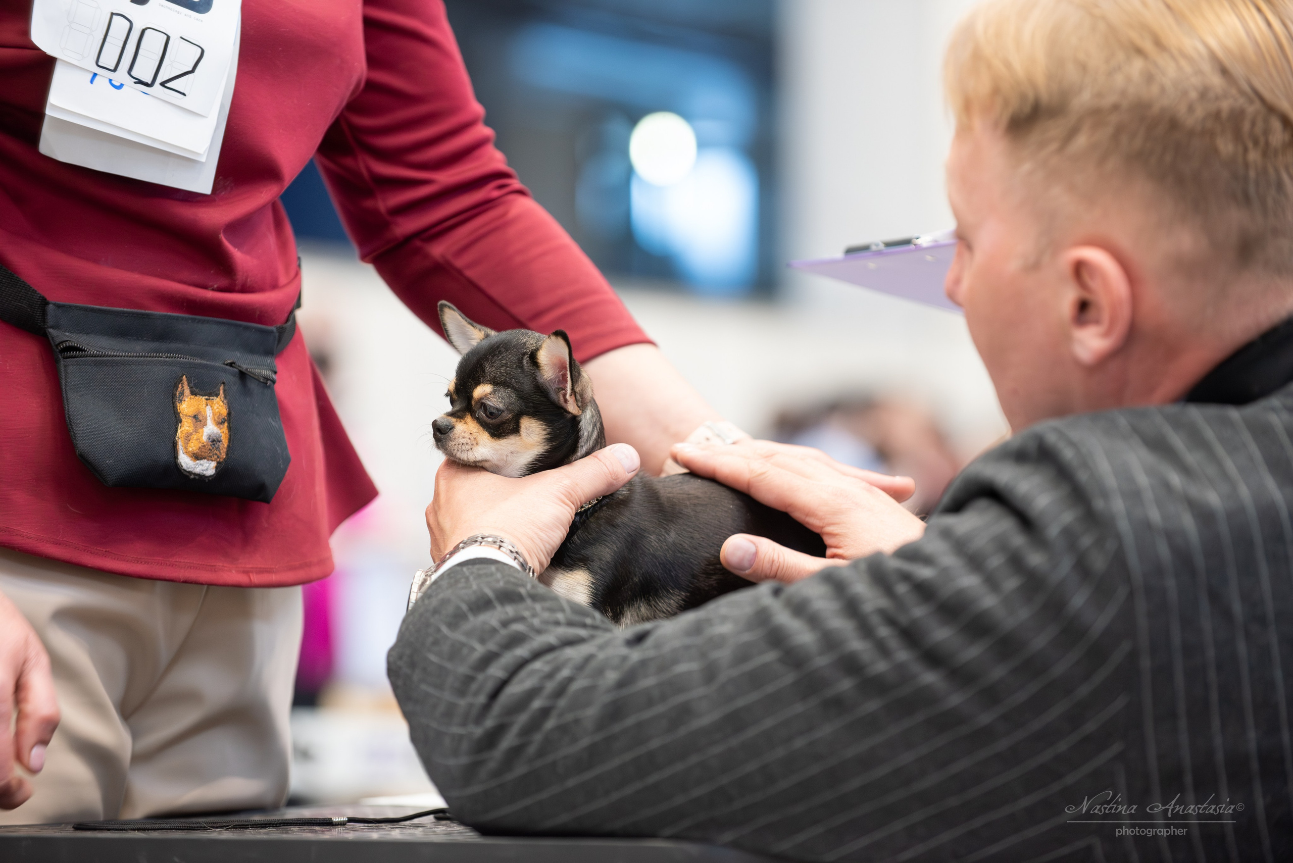 Выставки. Фотограф — Анималист