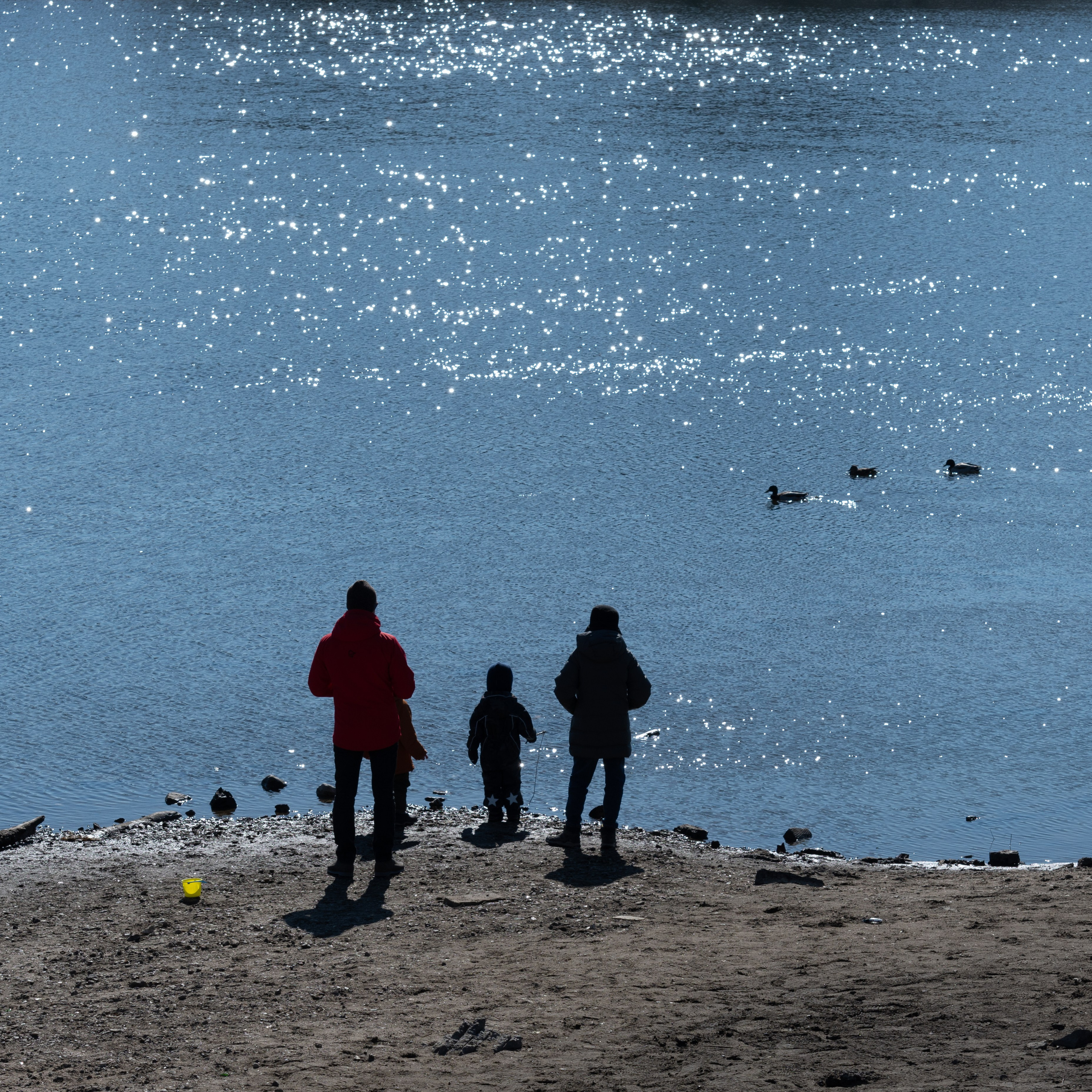20220320 Коломенское. Дмитрий Ремизов. Фотография, как хобби