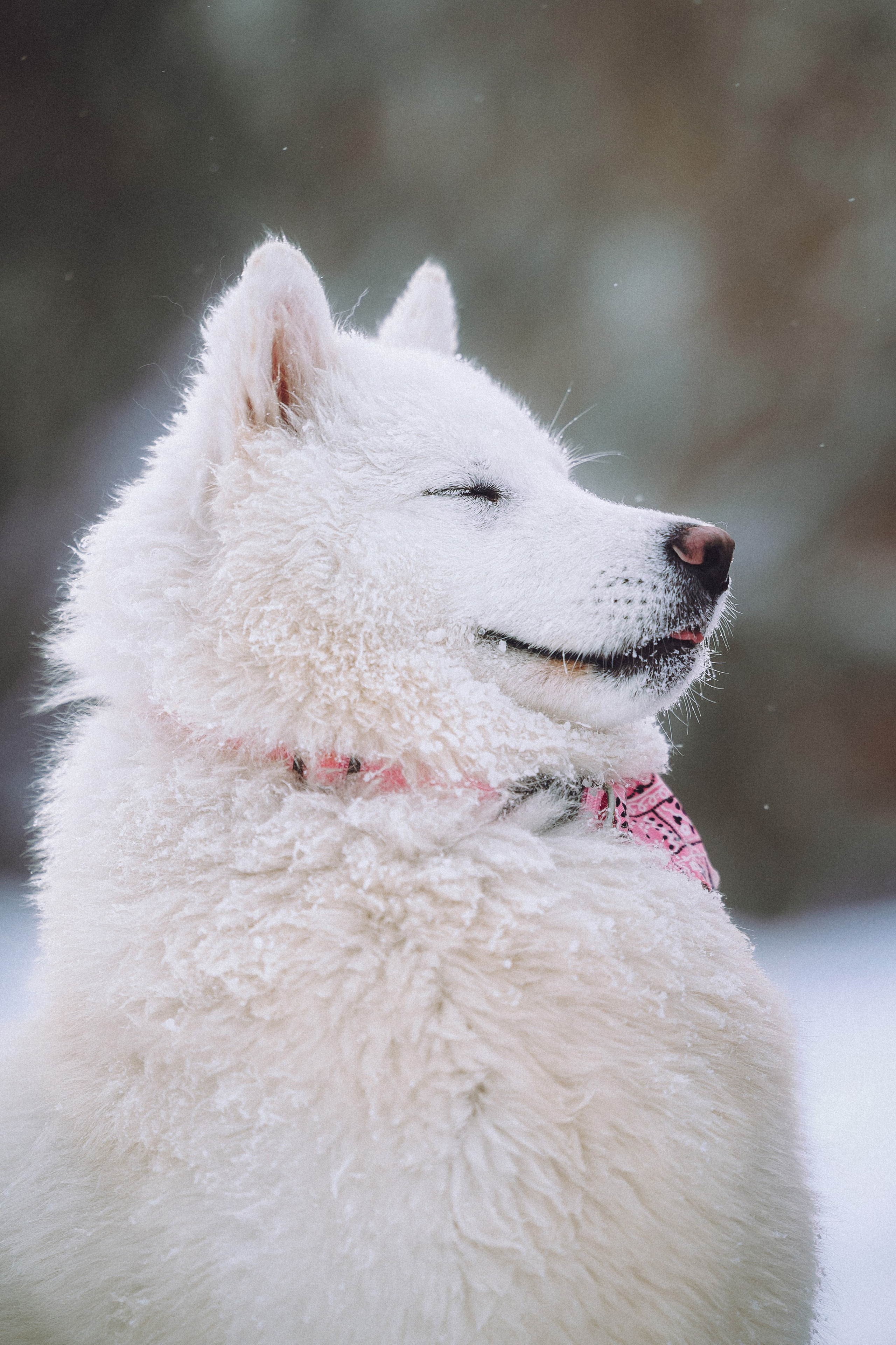 Мария и Мася