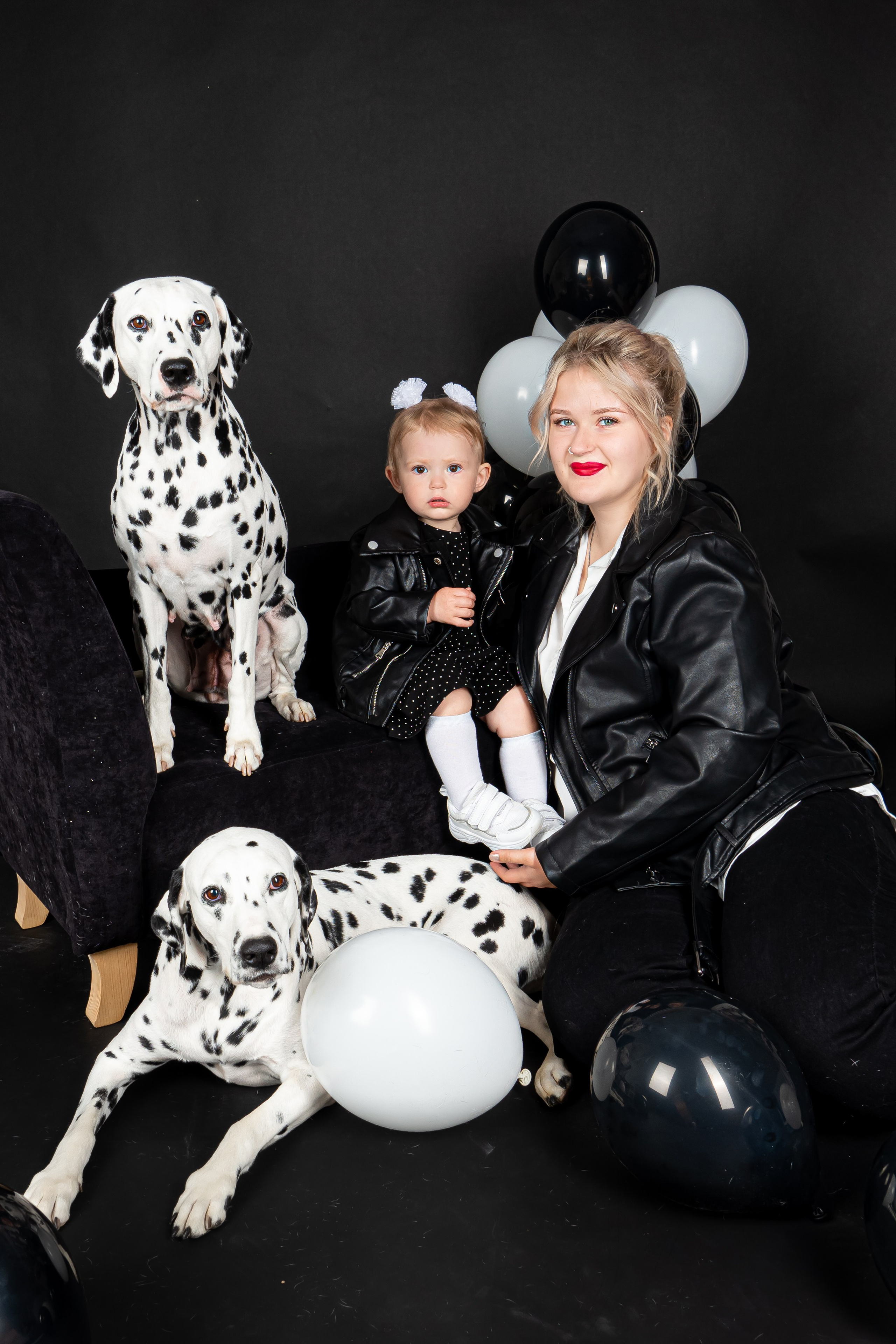 Далматины 2024. Фотограф на Камчатке Анна Моргачёва. Семейные и детские съёмки