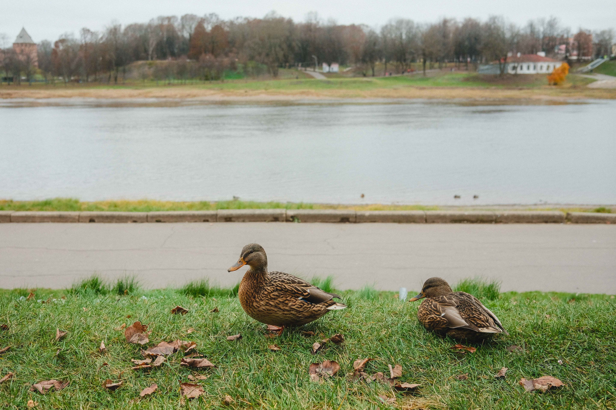 2022.11. Фотограф Алексей Алексеев