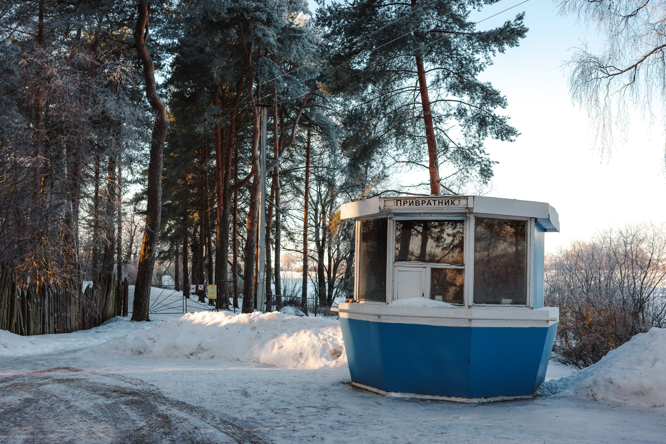 2024.01. Фотограф Алексей Алексеев