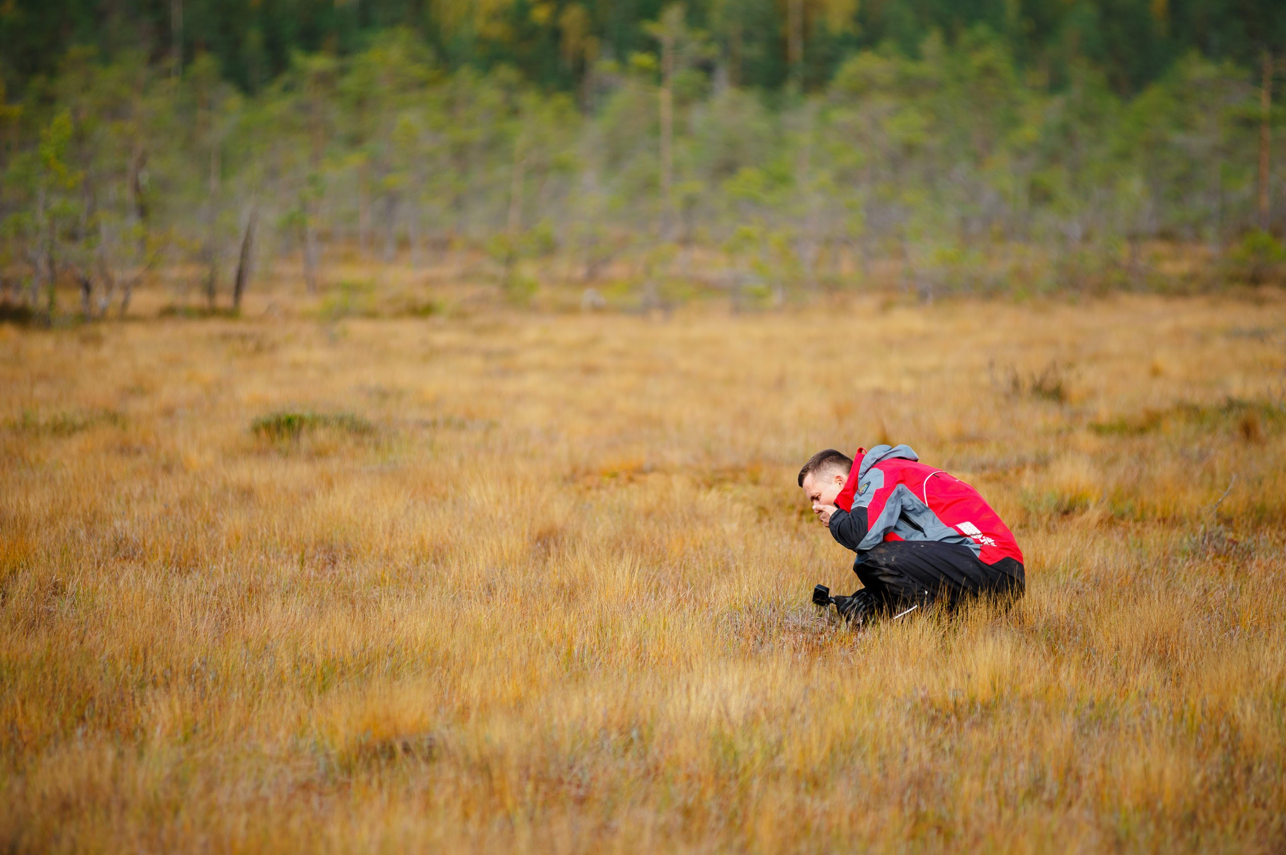 Кубок СПб по трофи-рейдам 04-06.10.2024 — день 1. Фотограф Алексей Алексеев