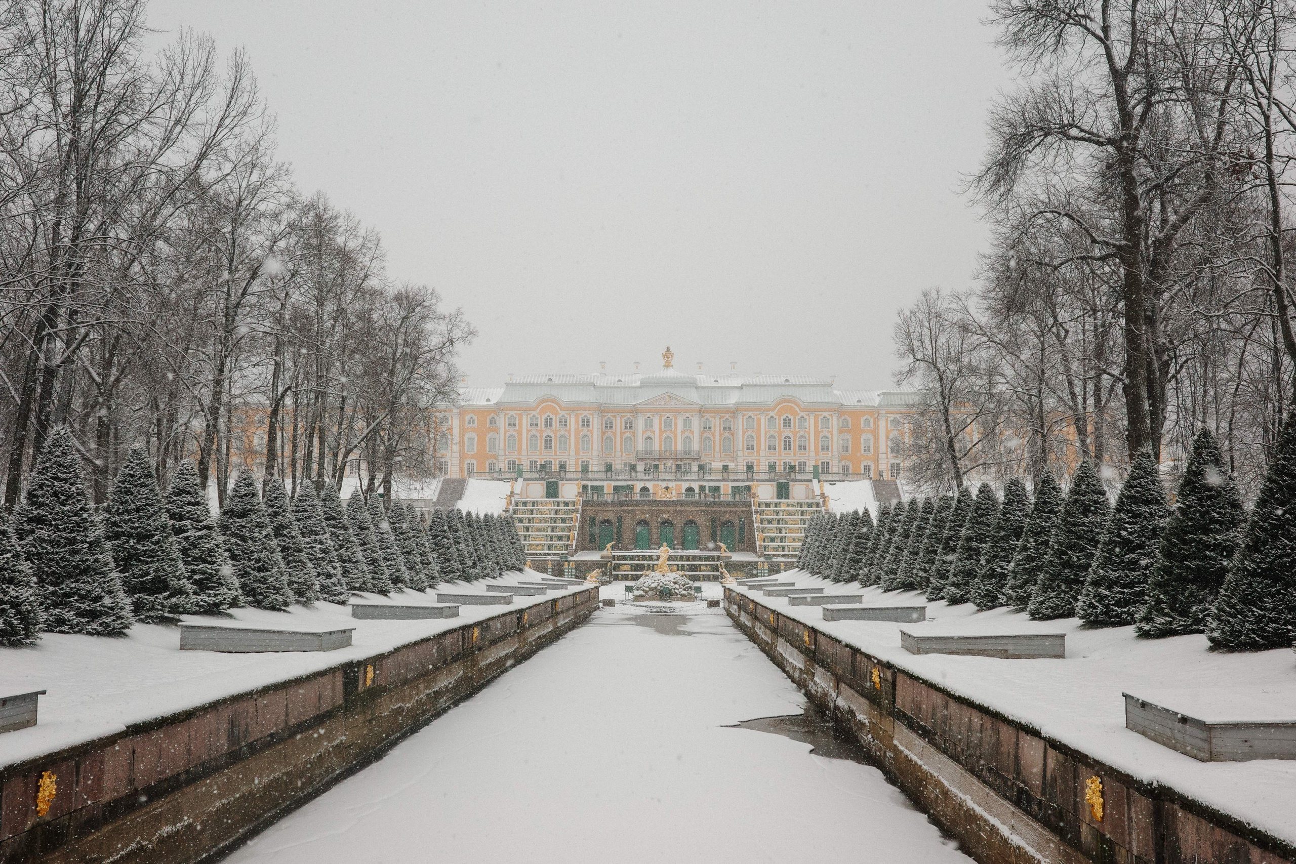 2025.02. Фотограф Алексей Алексеев