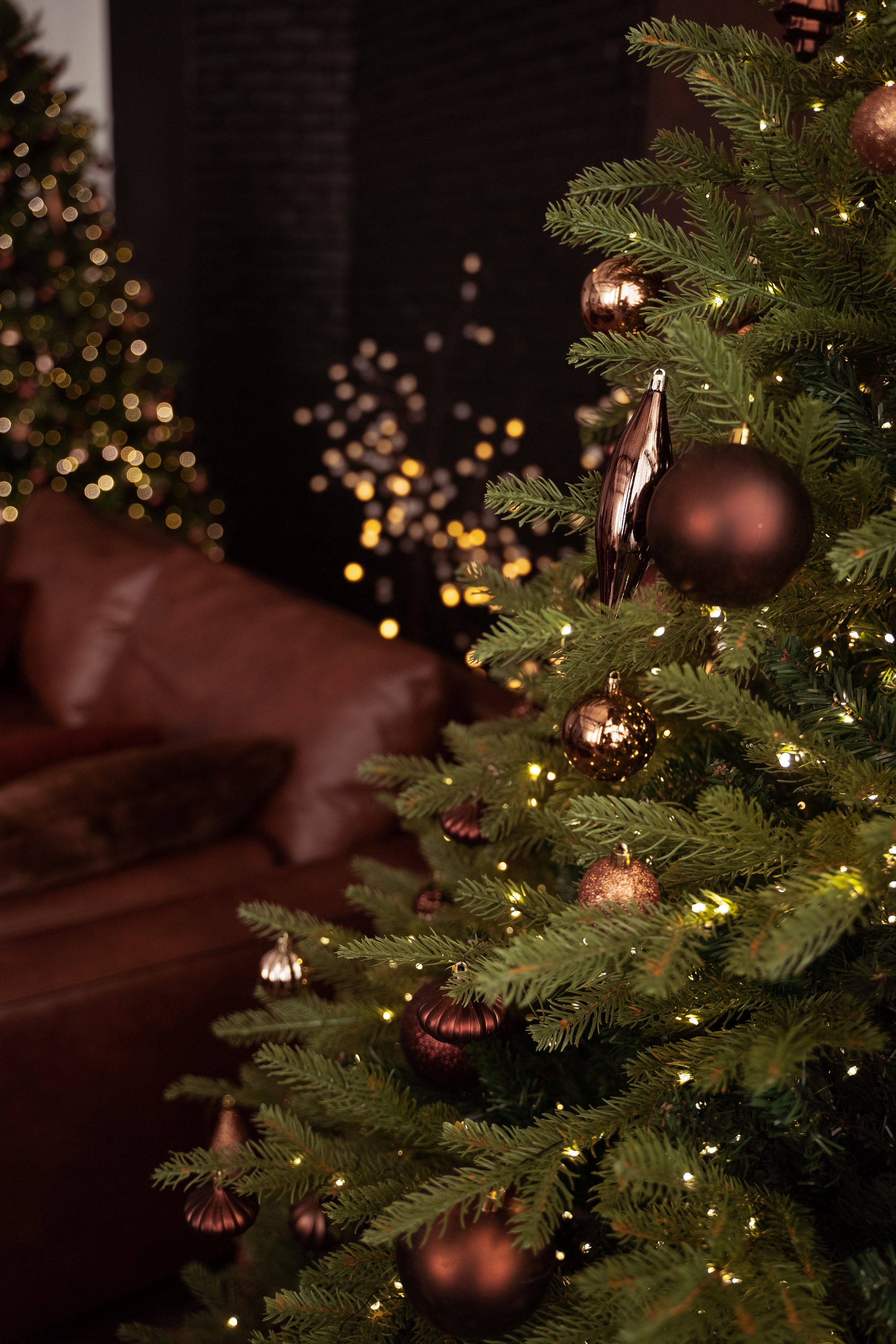 Браун (Brown). Фотограф г. Хабаровск. Семейные и индивидуальные съёмки