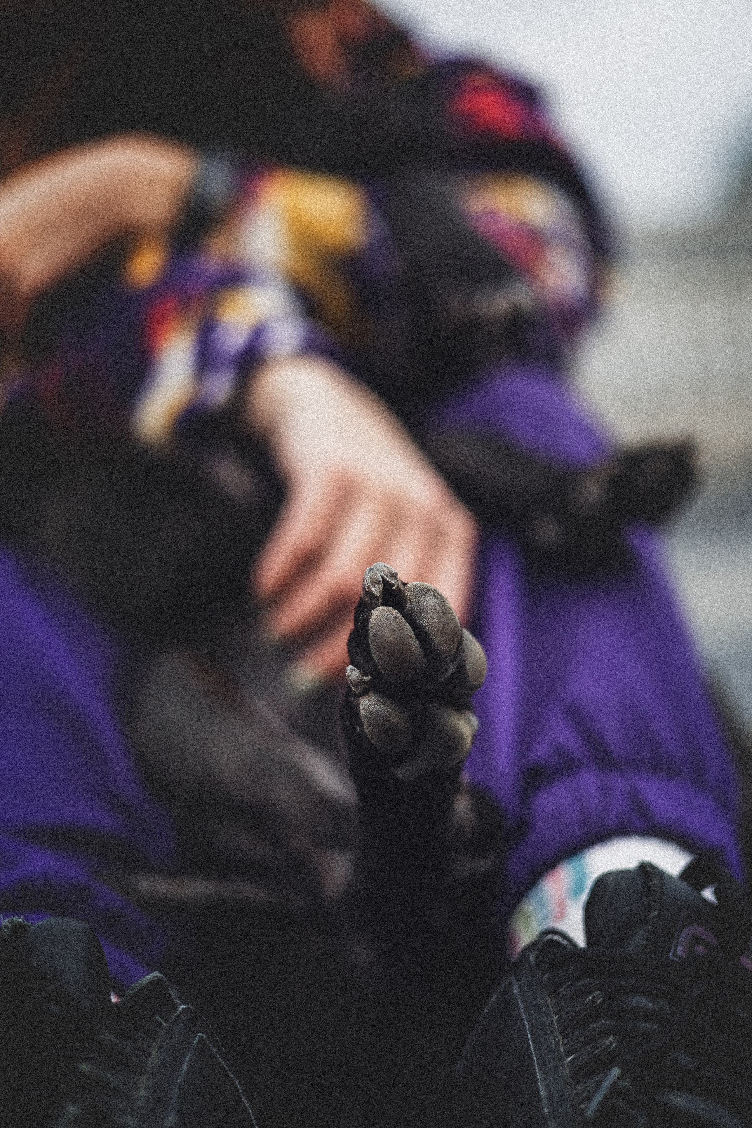 Фотопрогулки. Фотограф для людей и их питомцев Вика Шальнева