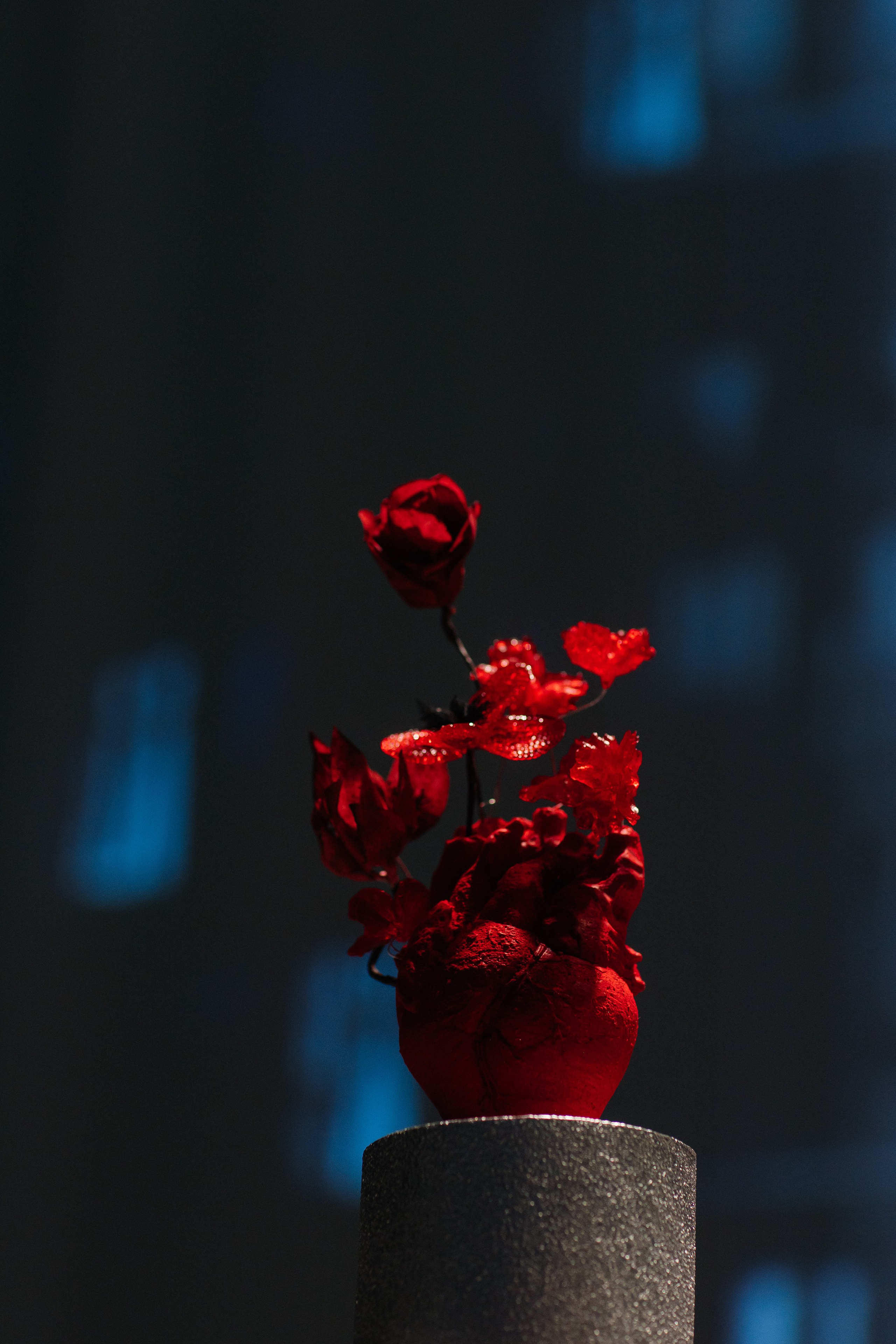 Wedding Awards Сибирь и Дальний Восток 2024. Свадебный фотограф в Красноярске