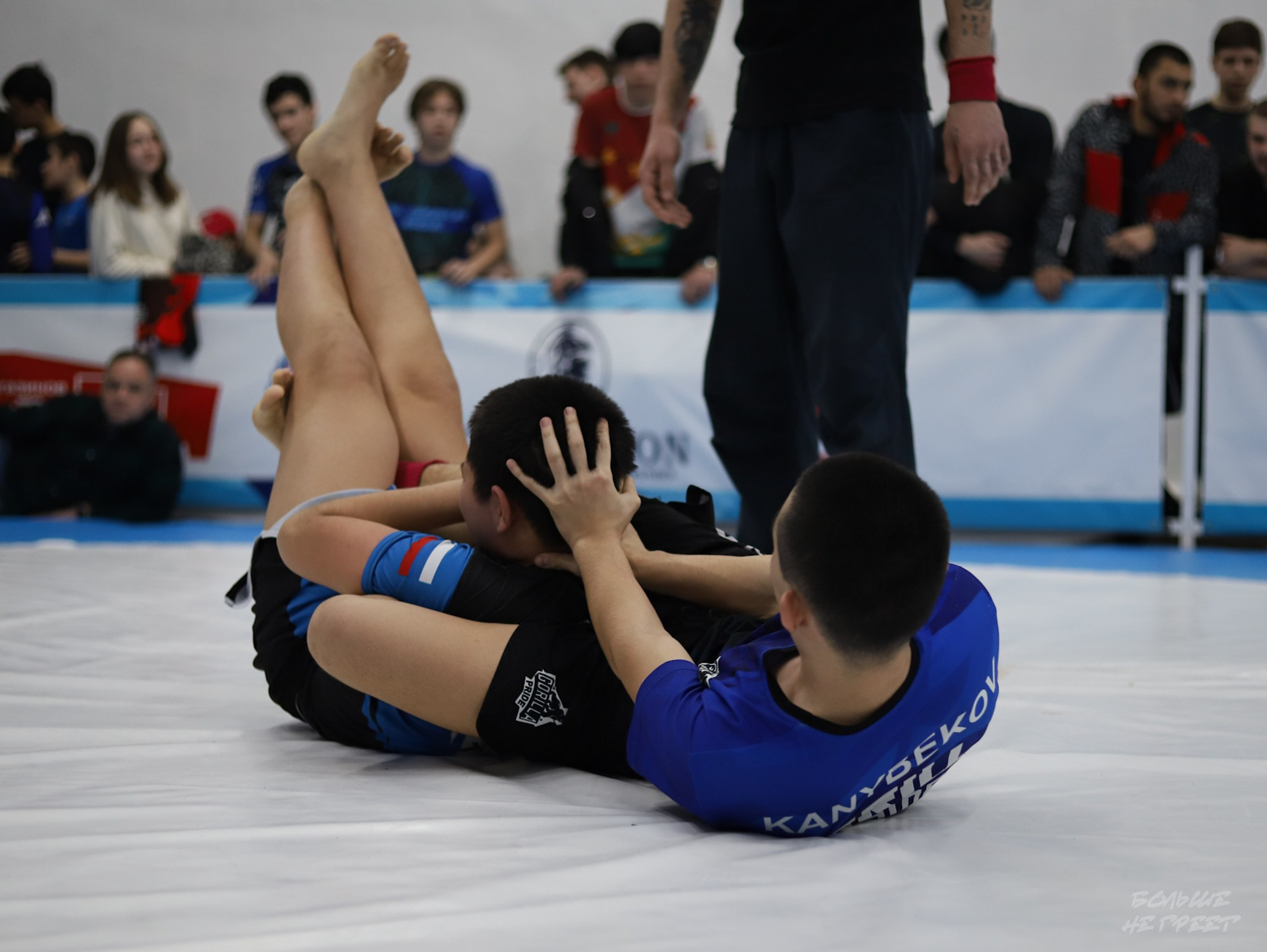 GORILLA PRIDE CUP. Больше не греет