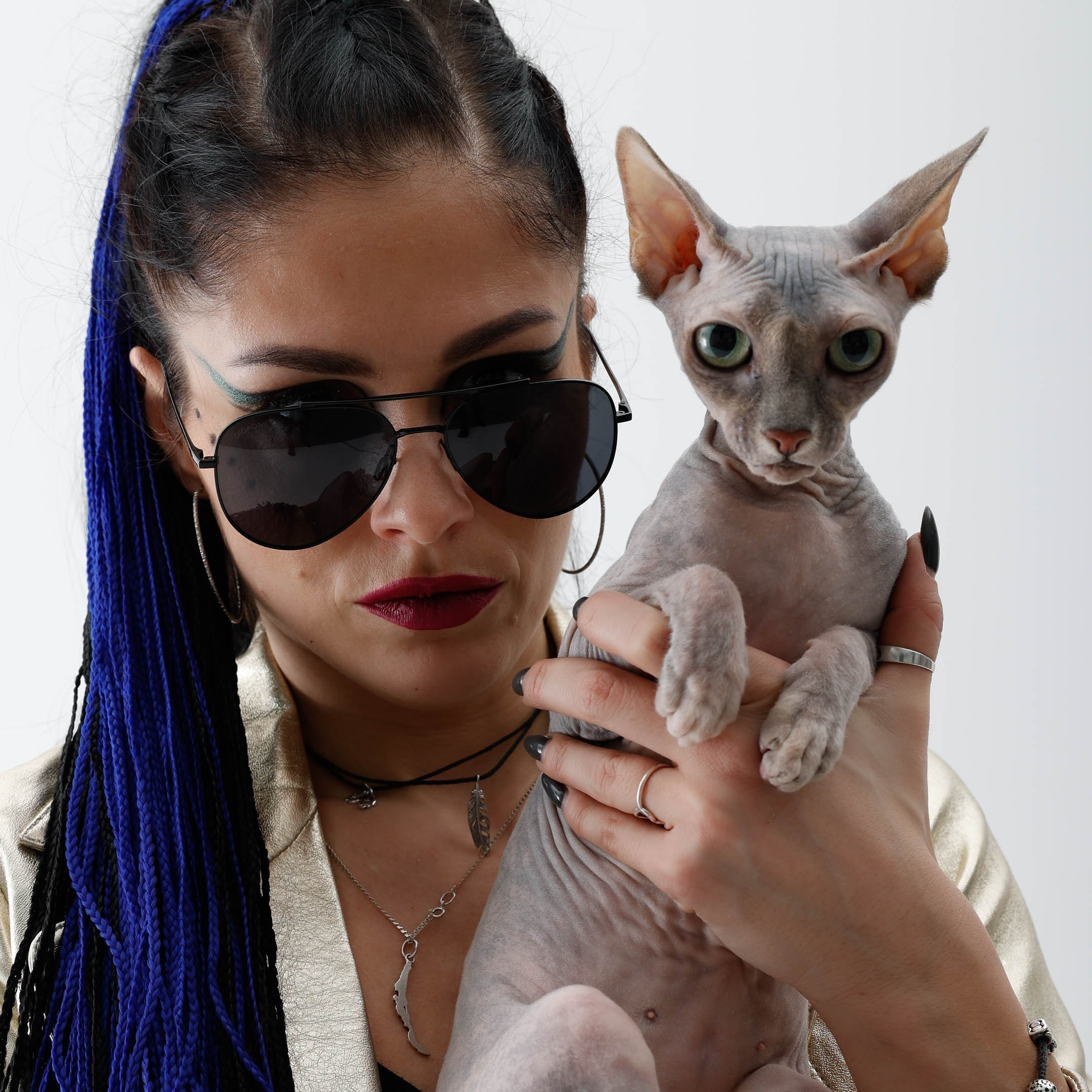 40 cats. ITMAG.ME | Visual Art